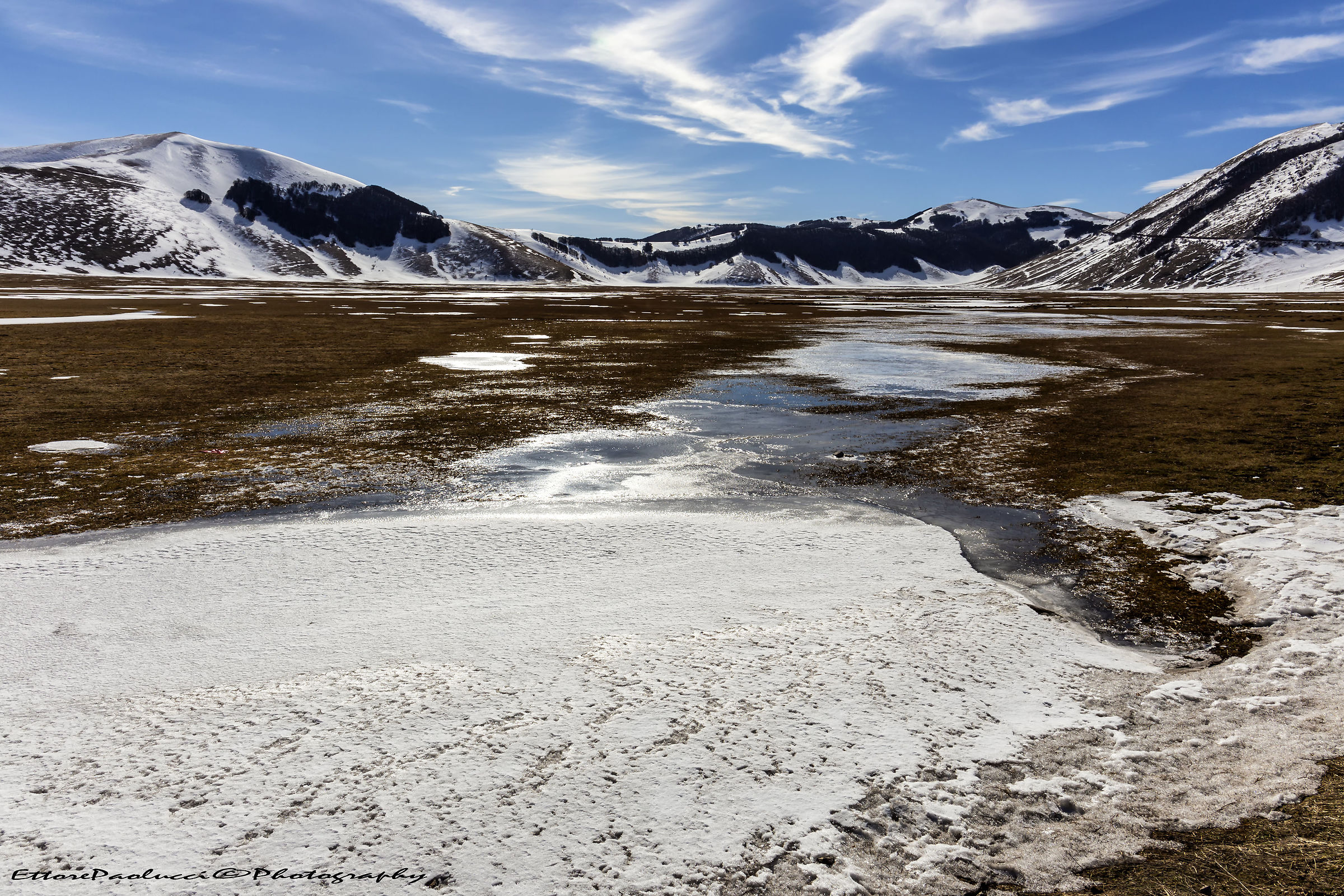 Csstelluccio of Norcia