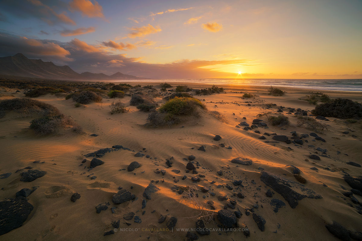 Fuerteventura-Cofete