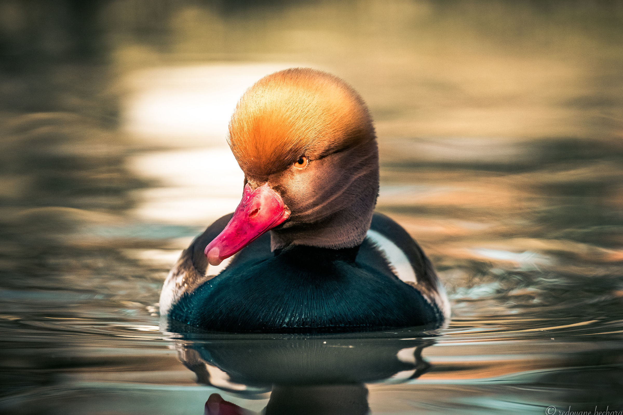 The Sun kisses the beautiful