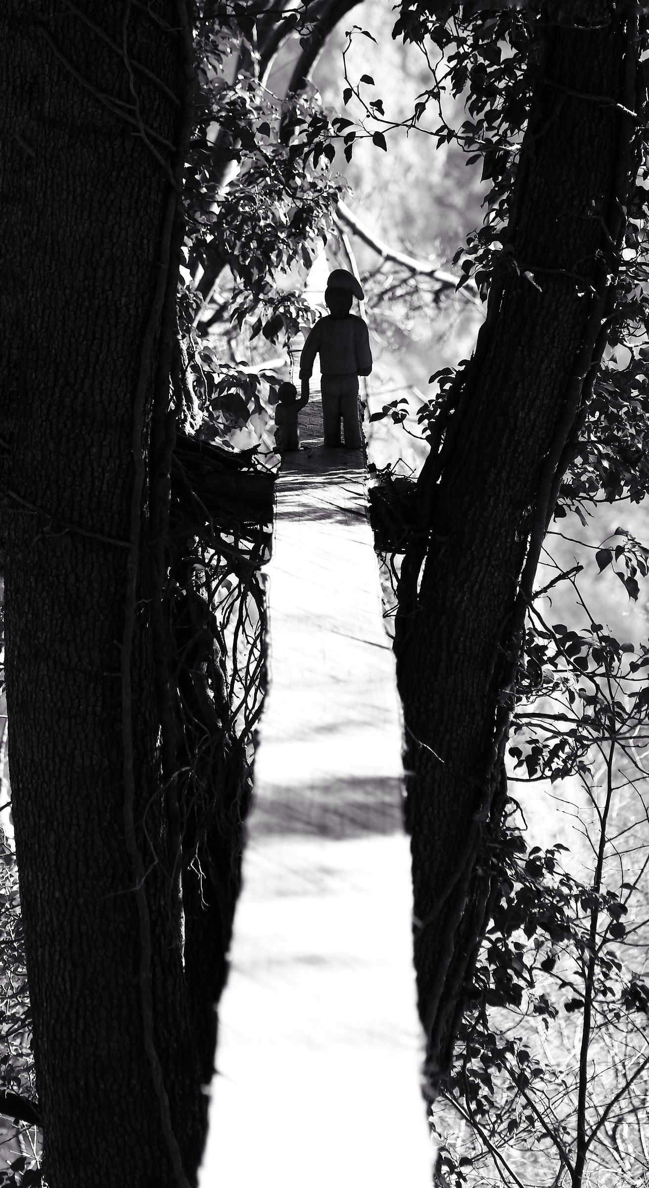 Sentiero spirito del bosco - Terz'Alpe