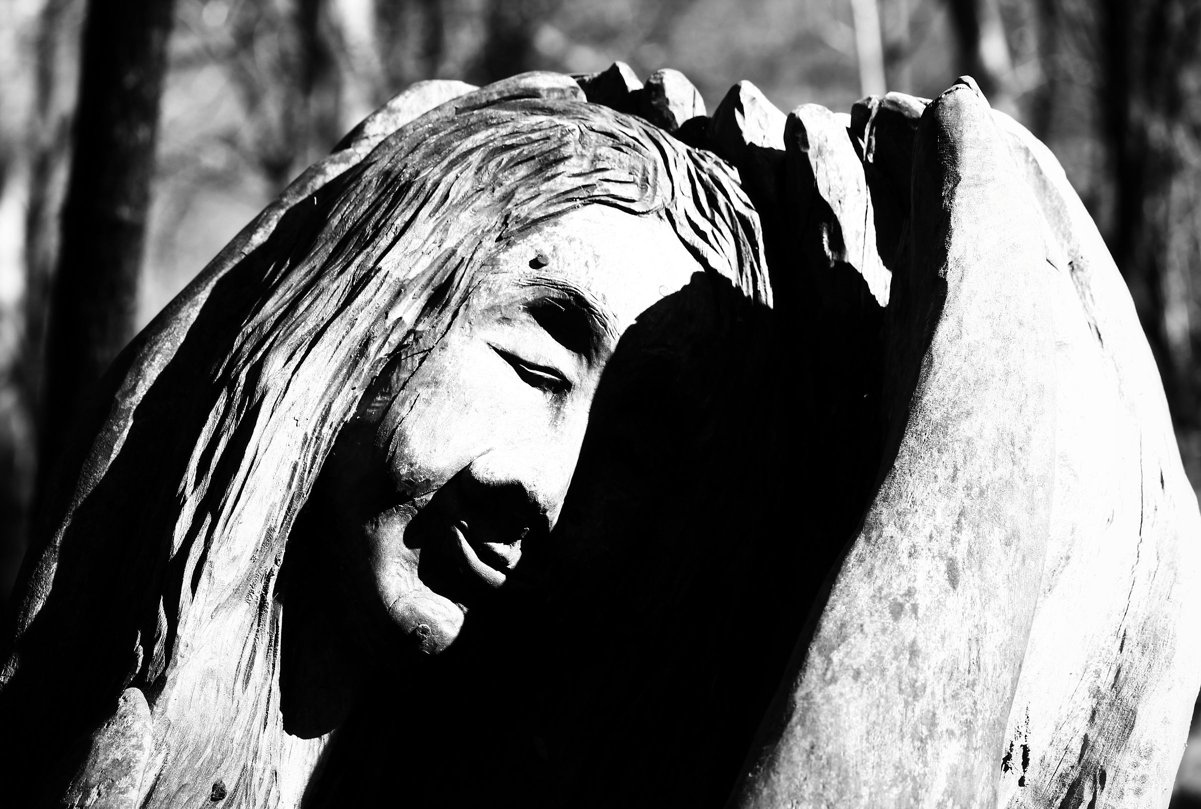 Sentiero spirito del bosco - Terz'Alpe