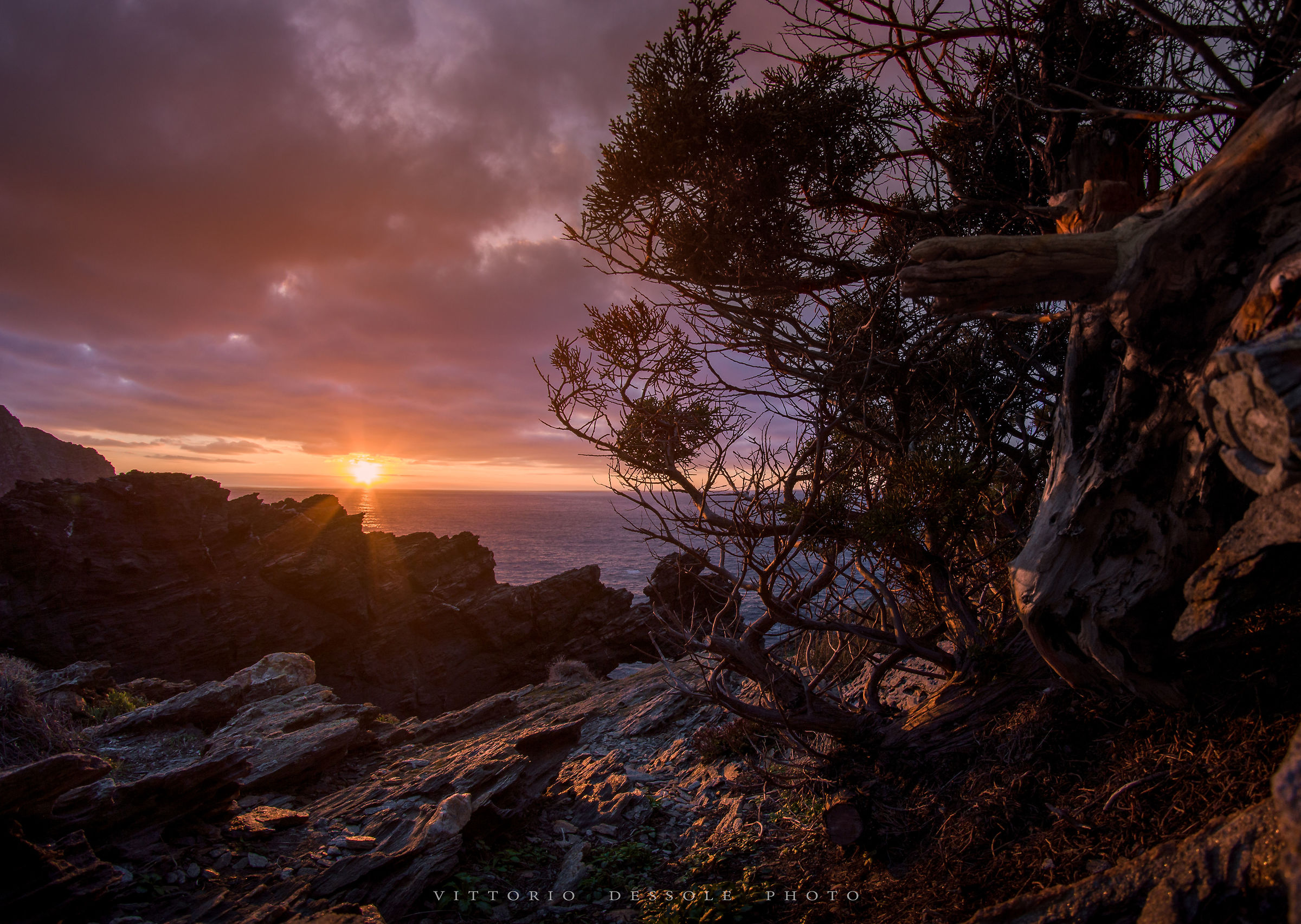 Capo Falcone, Sardegna
