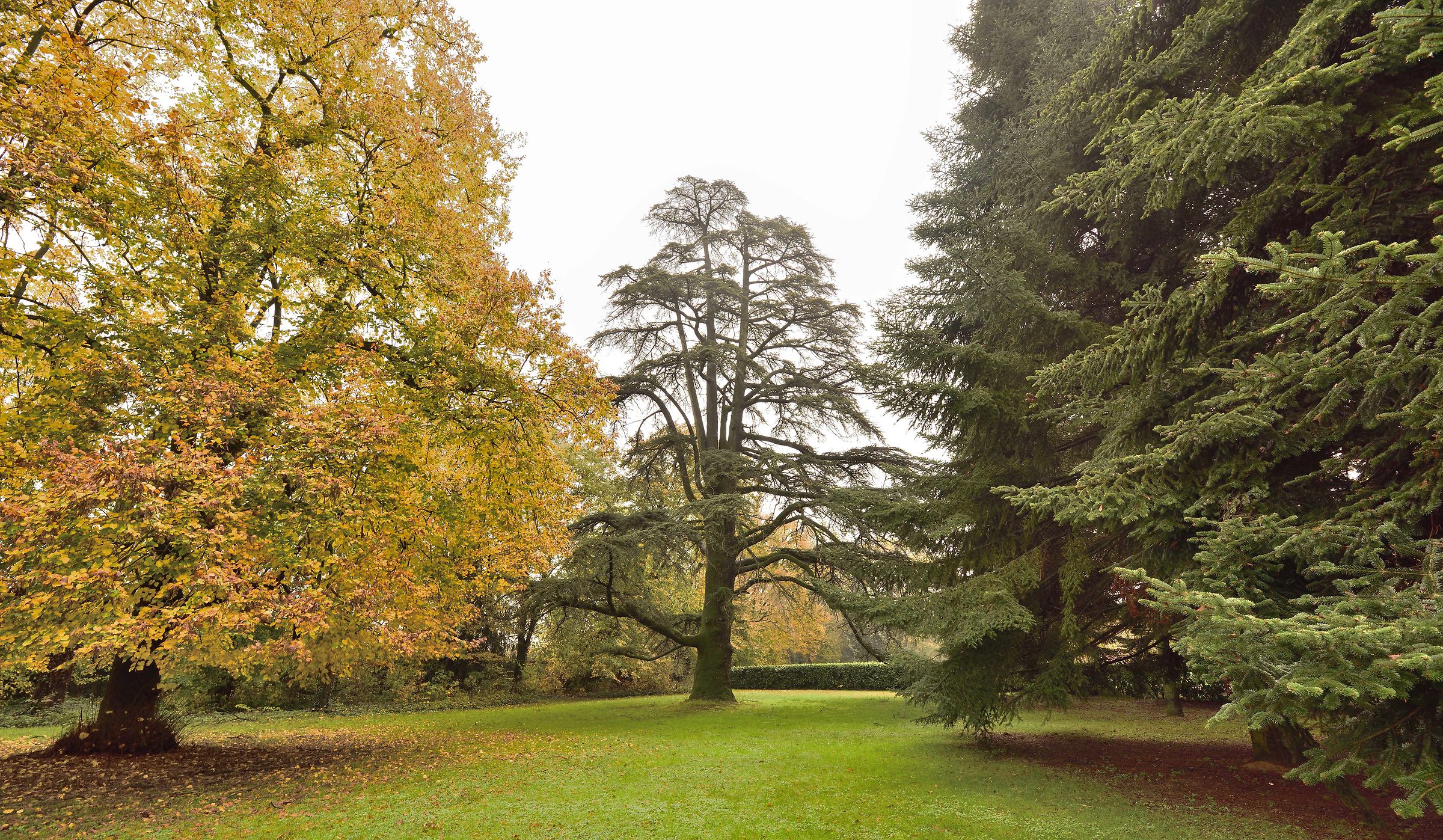 The park of Villa Badia