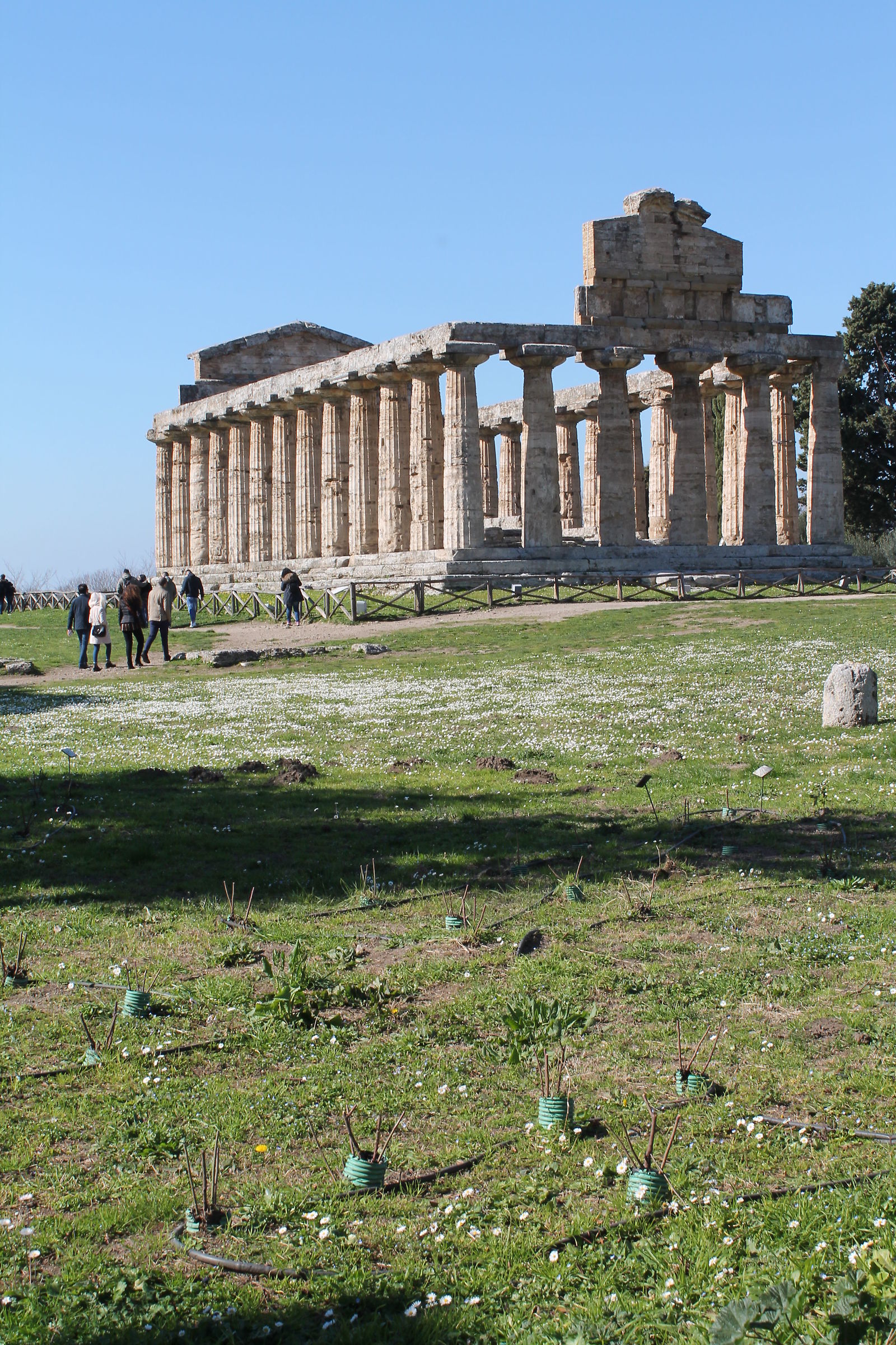 Weekend at the temples of Paestum (Sa)