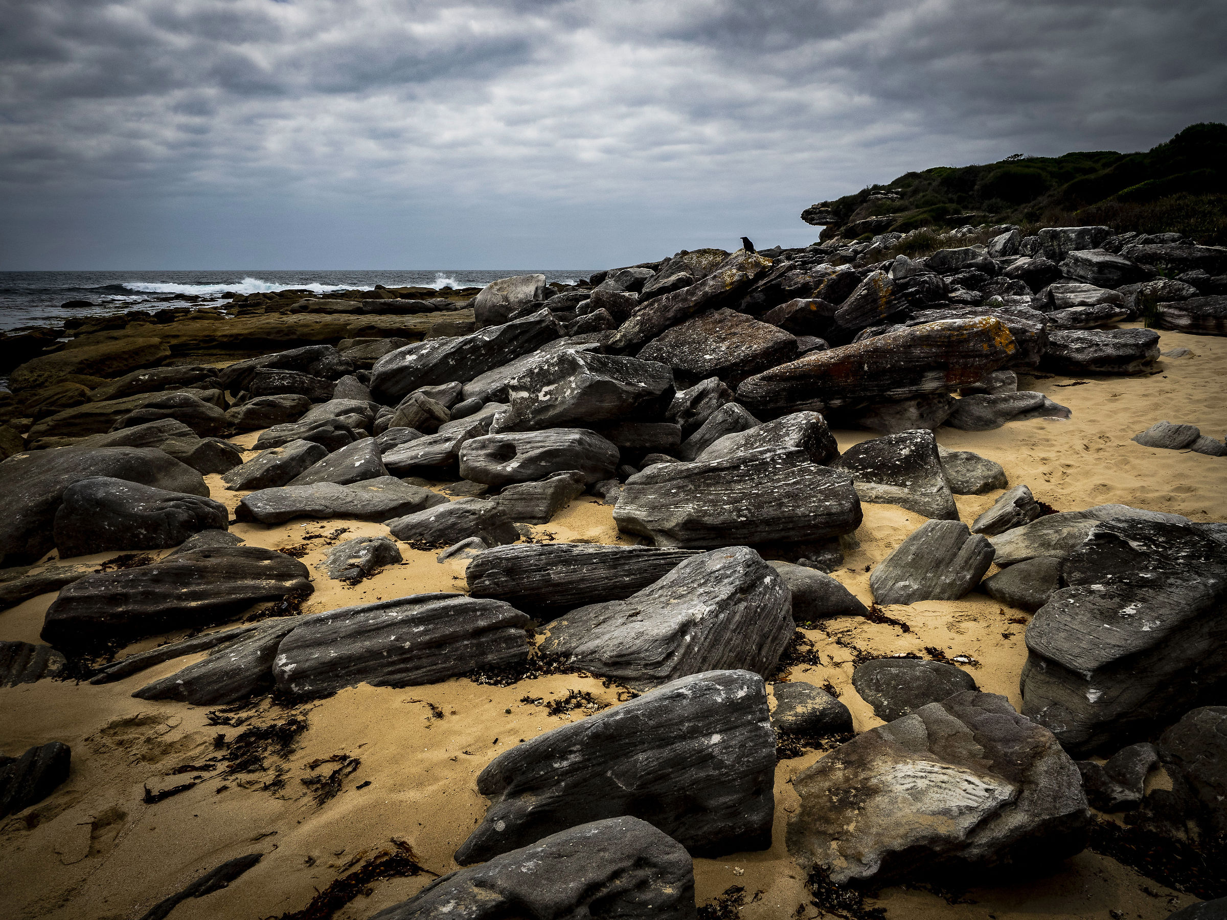 Search for the Raven