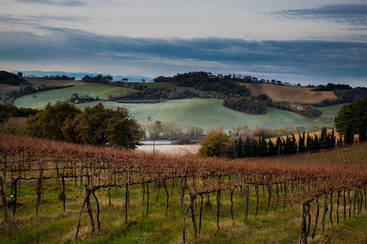 A light frost in the valley