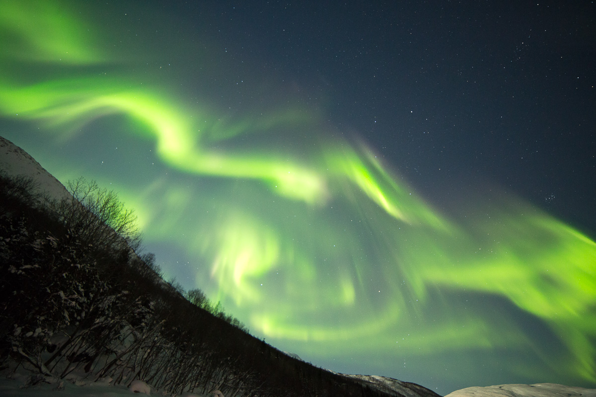Aurora in Ersfjord