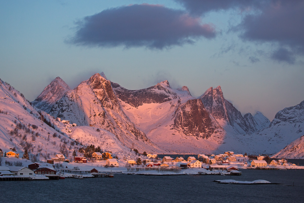 Reine