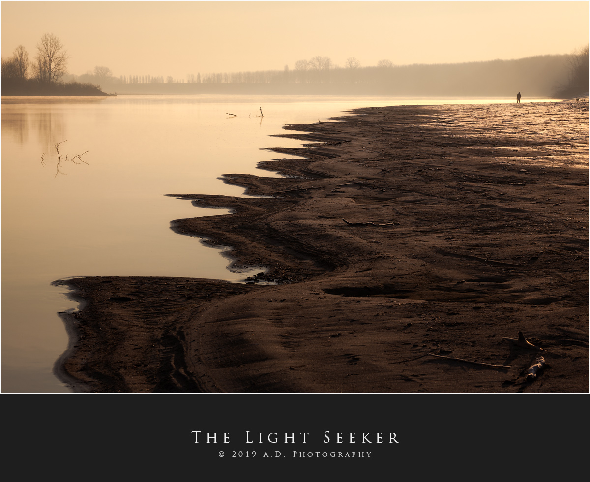 The Light Seeker