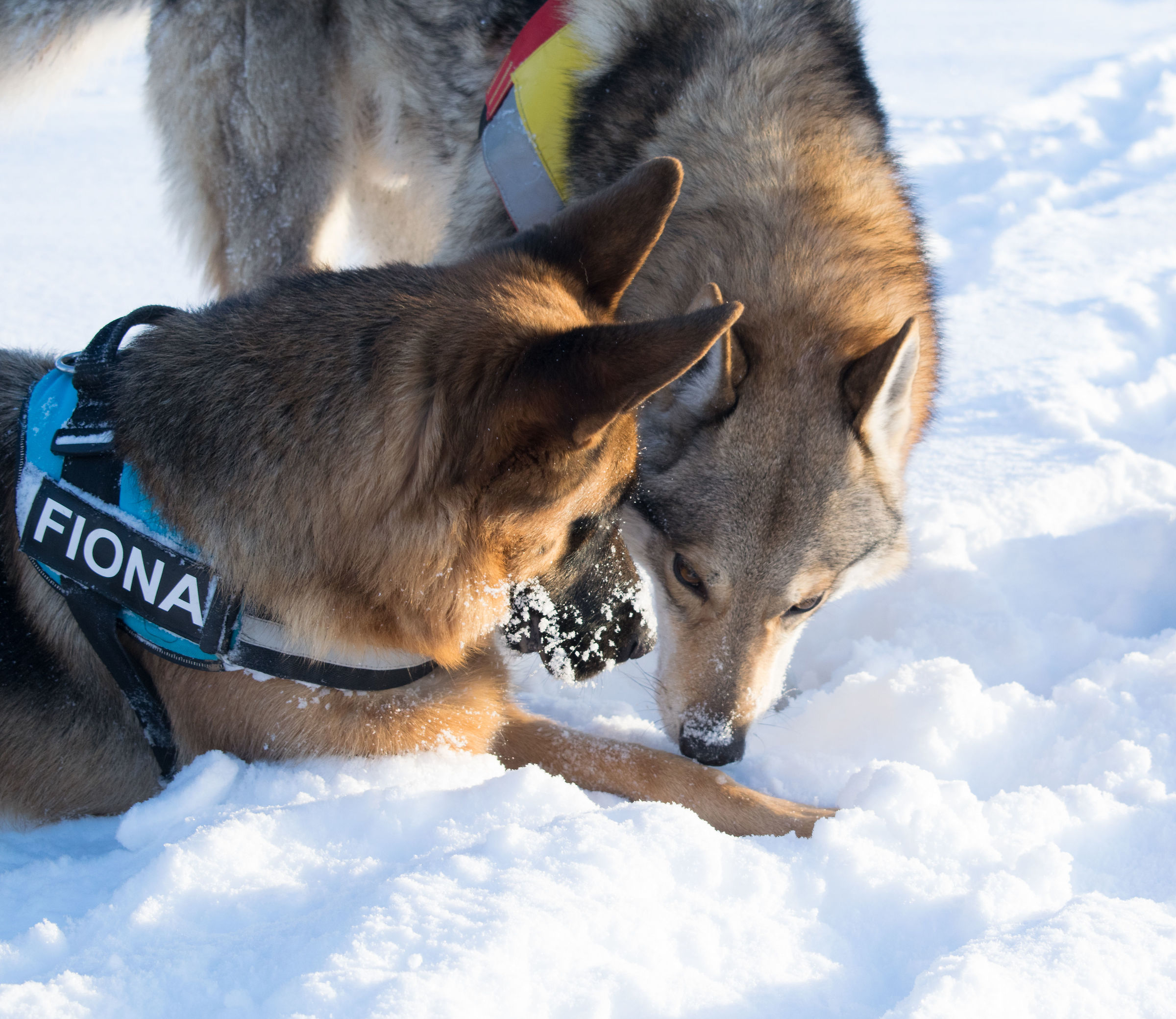 I'm telling you a secret!