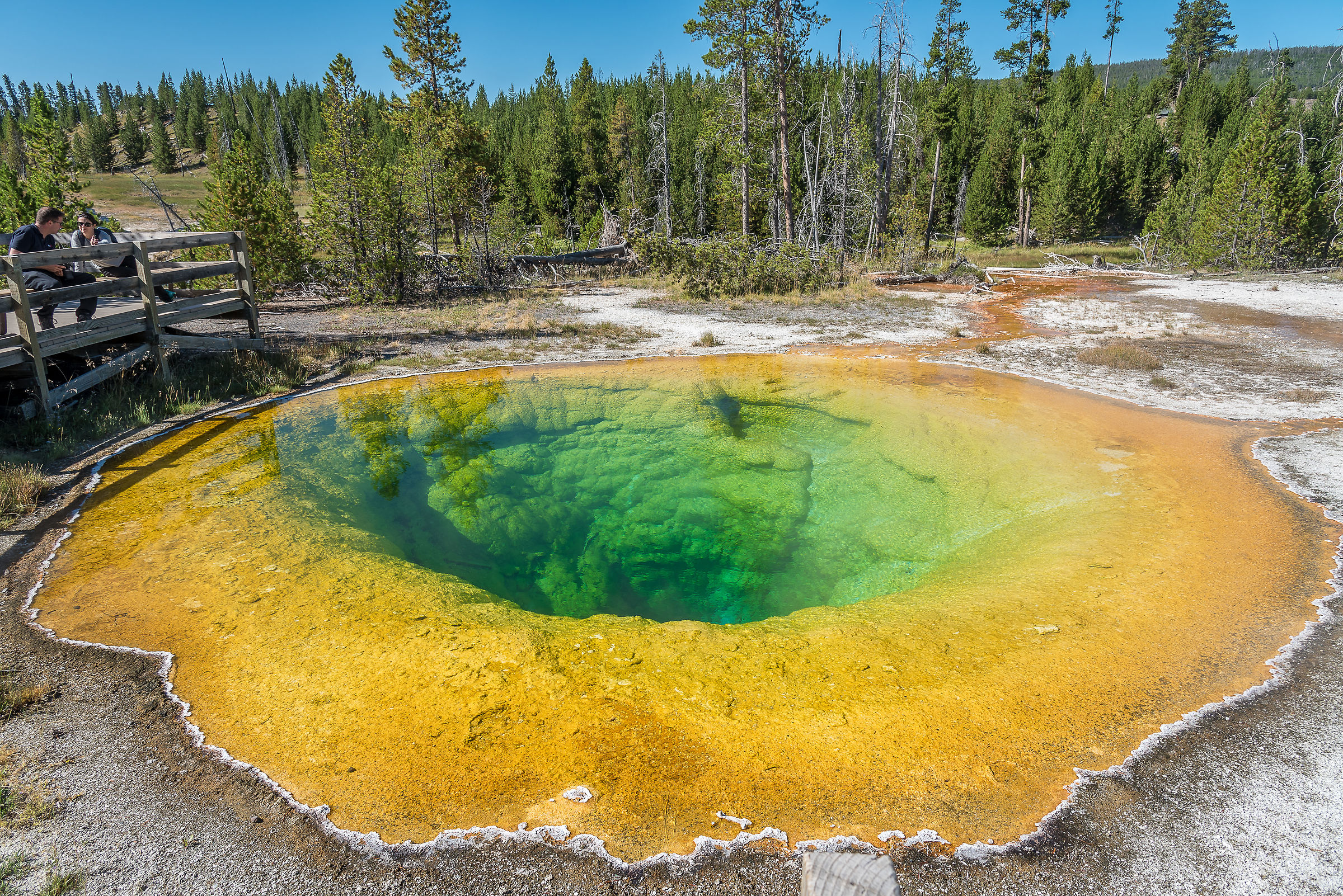 Yellowstone National Park