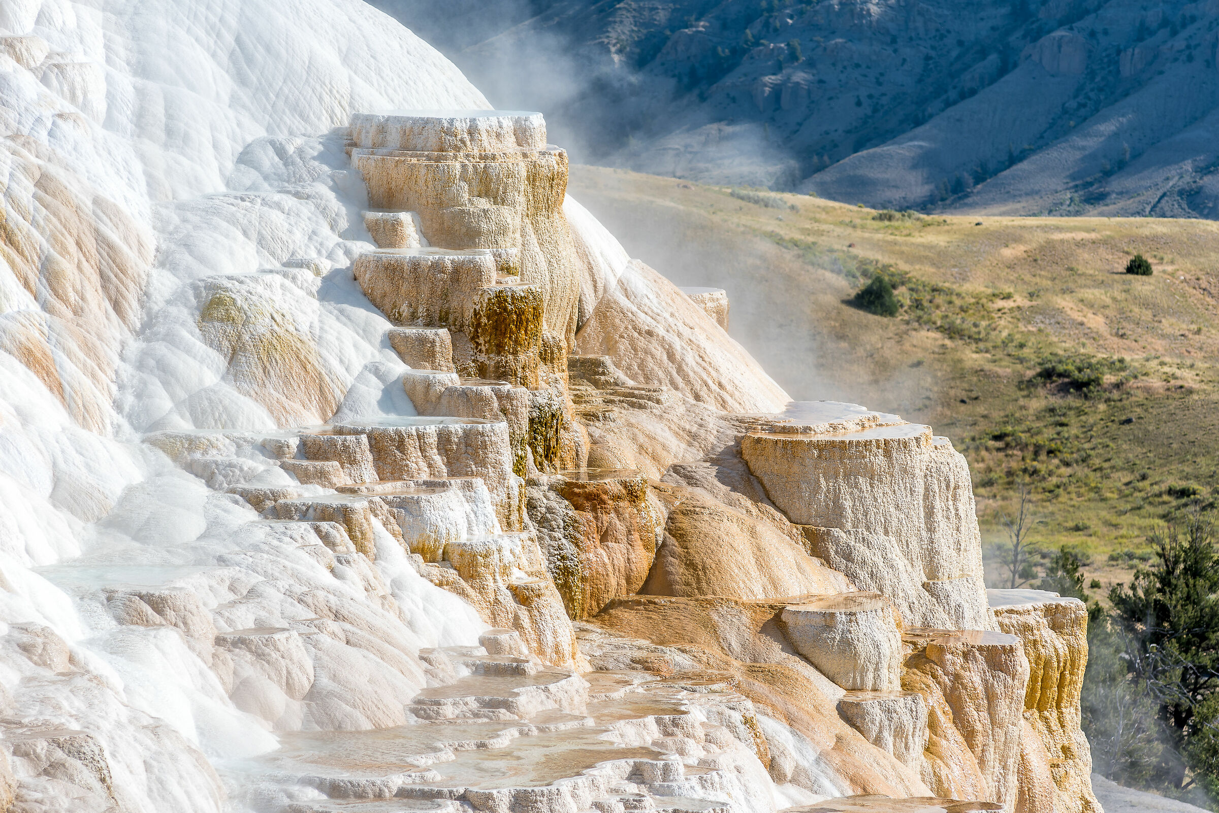 Yellowstone National Park