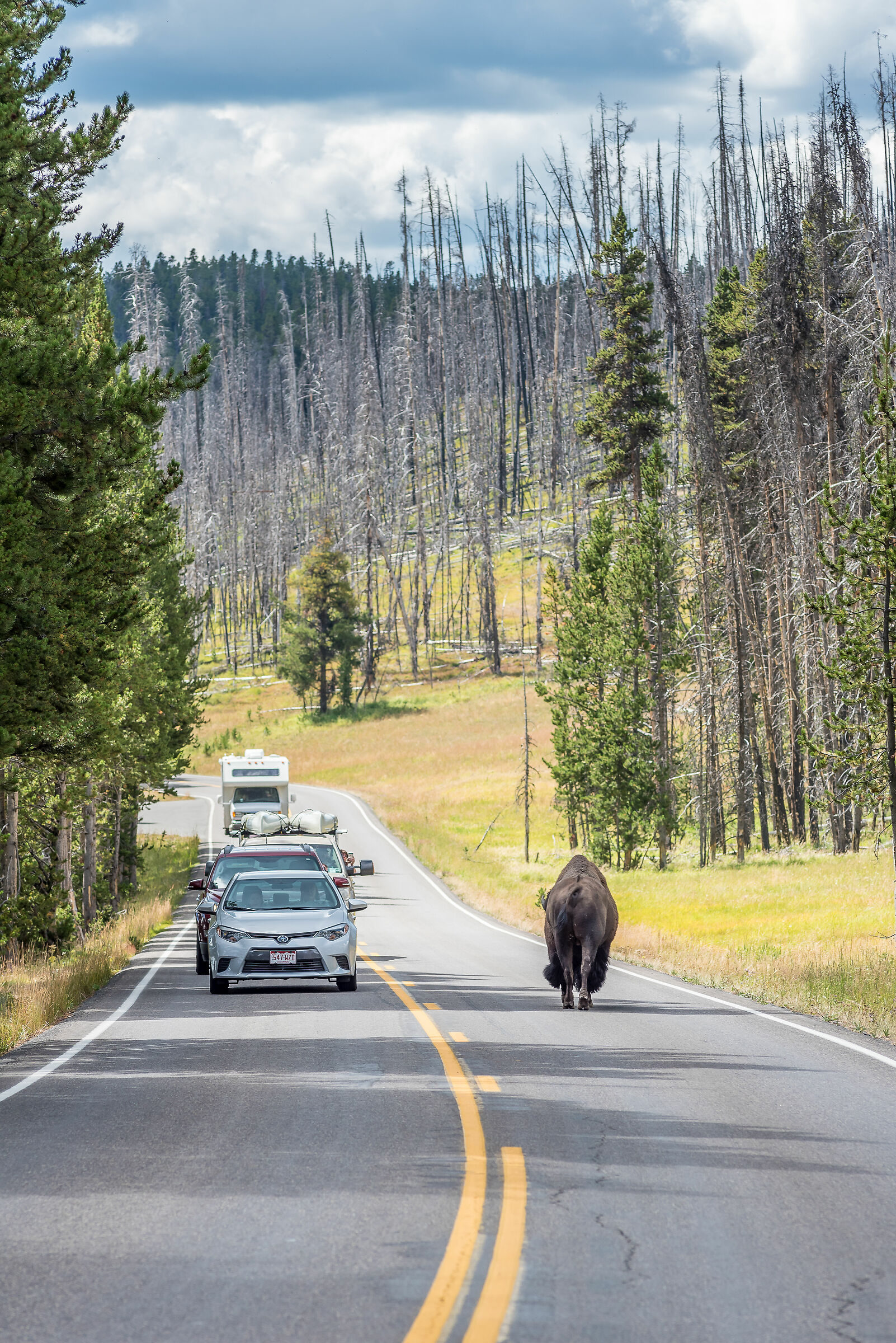 Yellowstone National Park