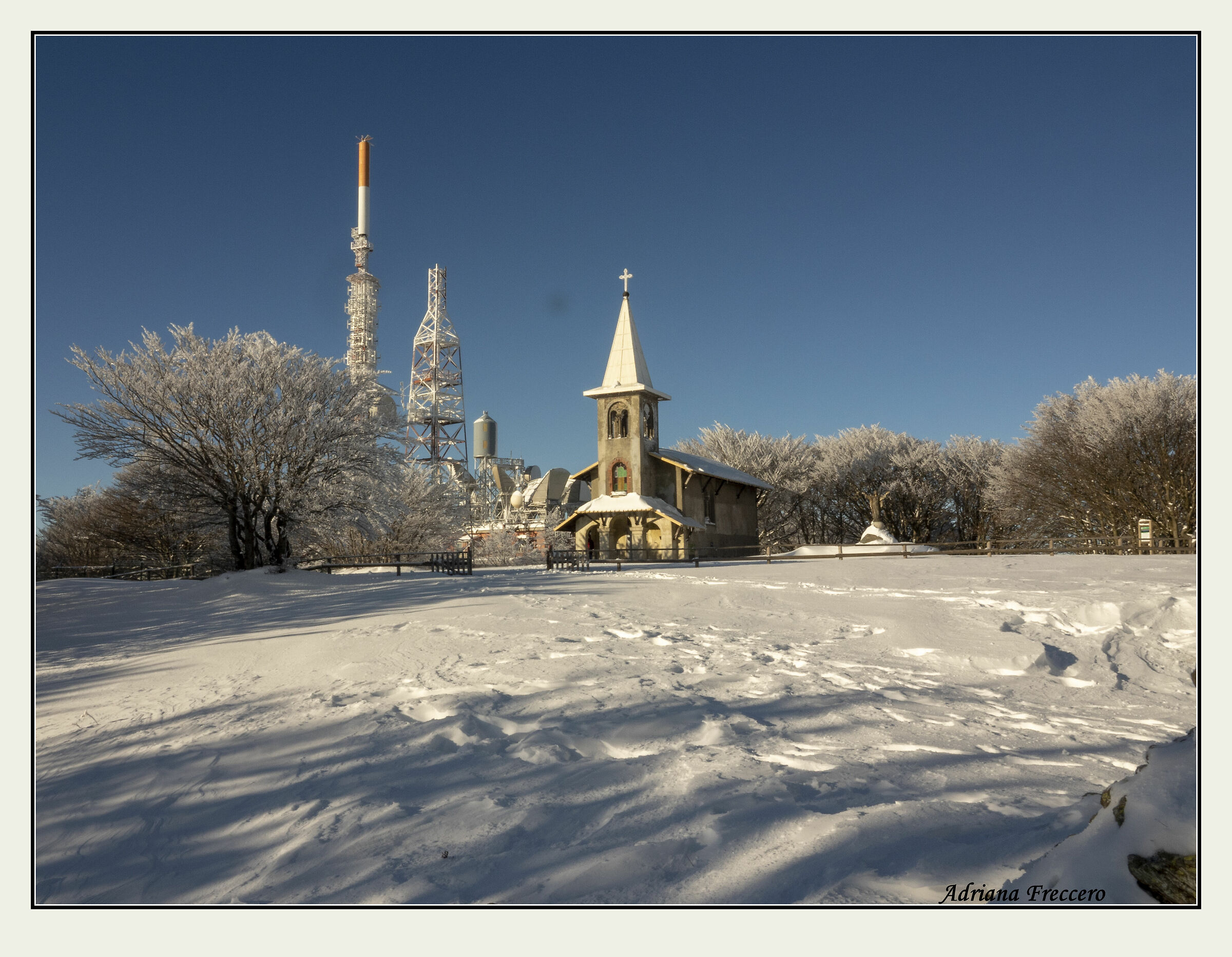 Untitled Photo