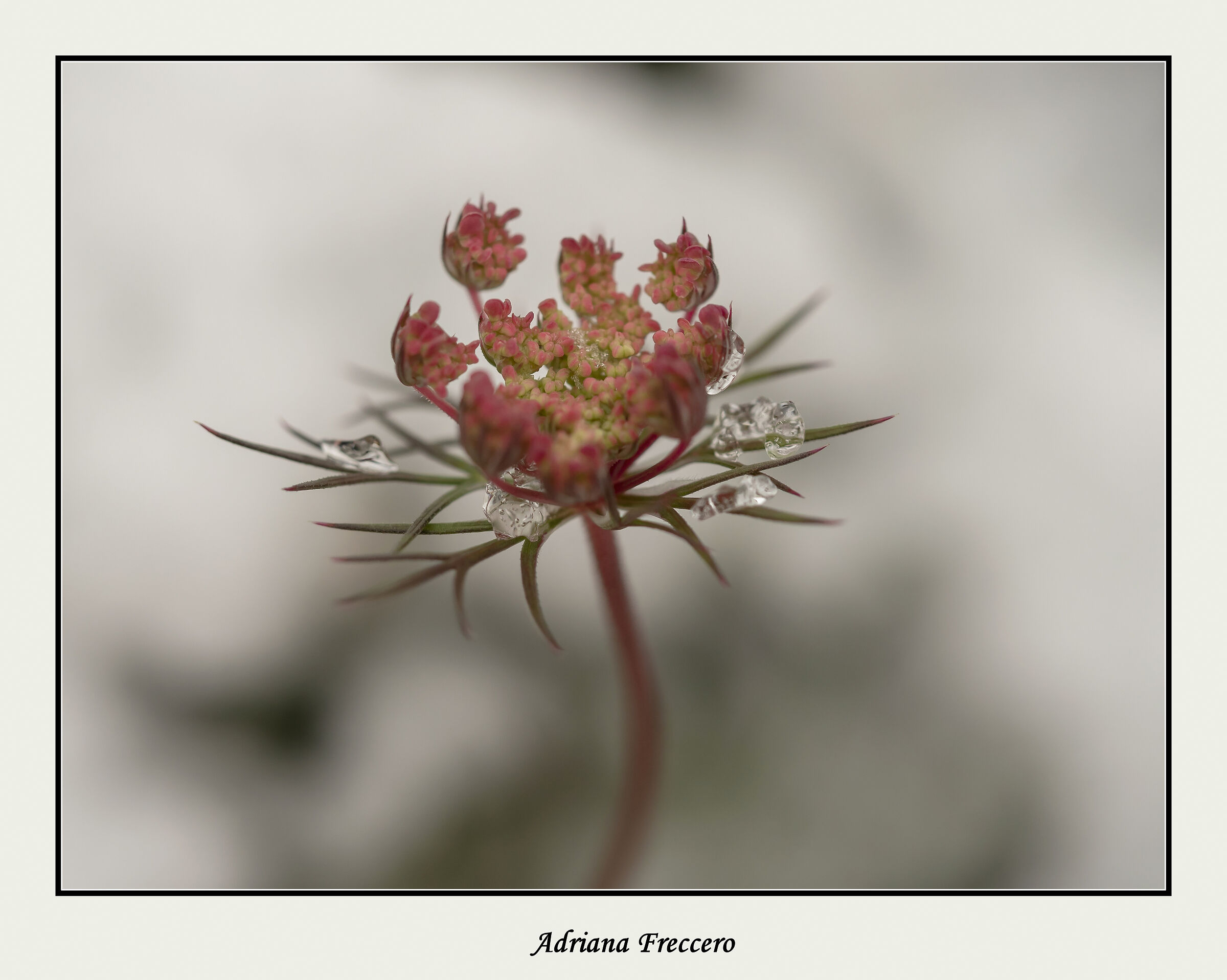 Untitled Photo