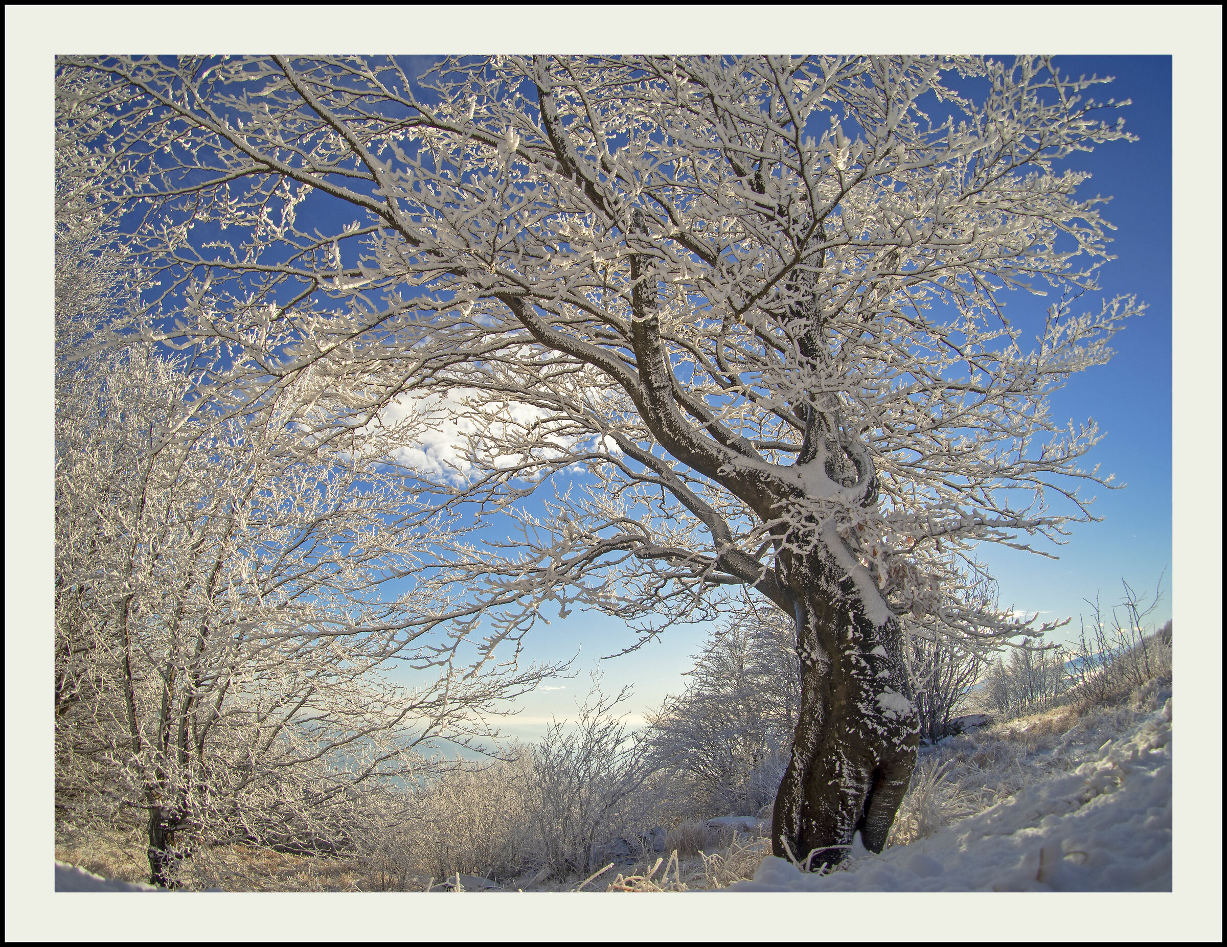 Untitled Photo