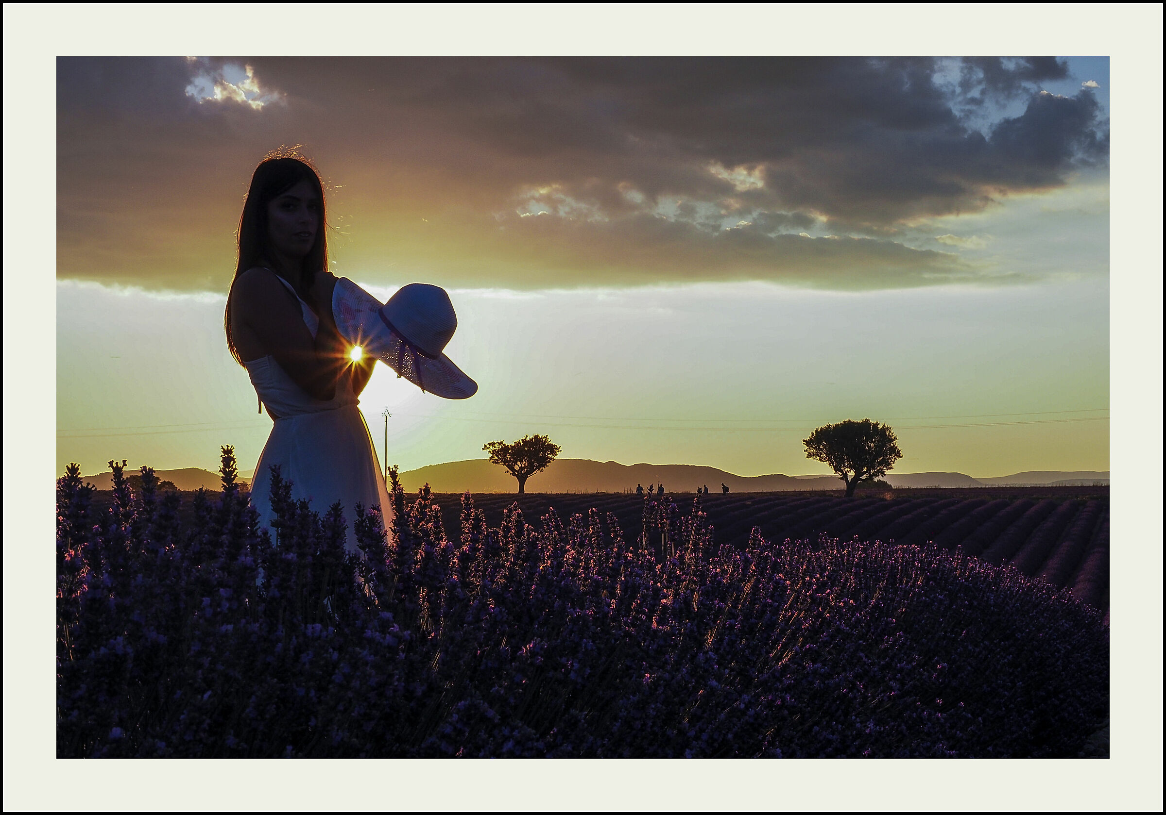 Untitled Photo