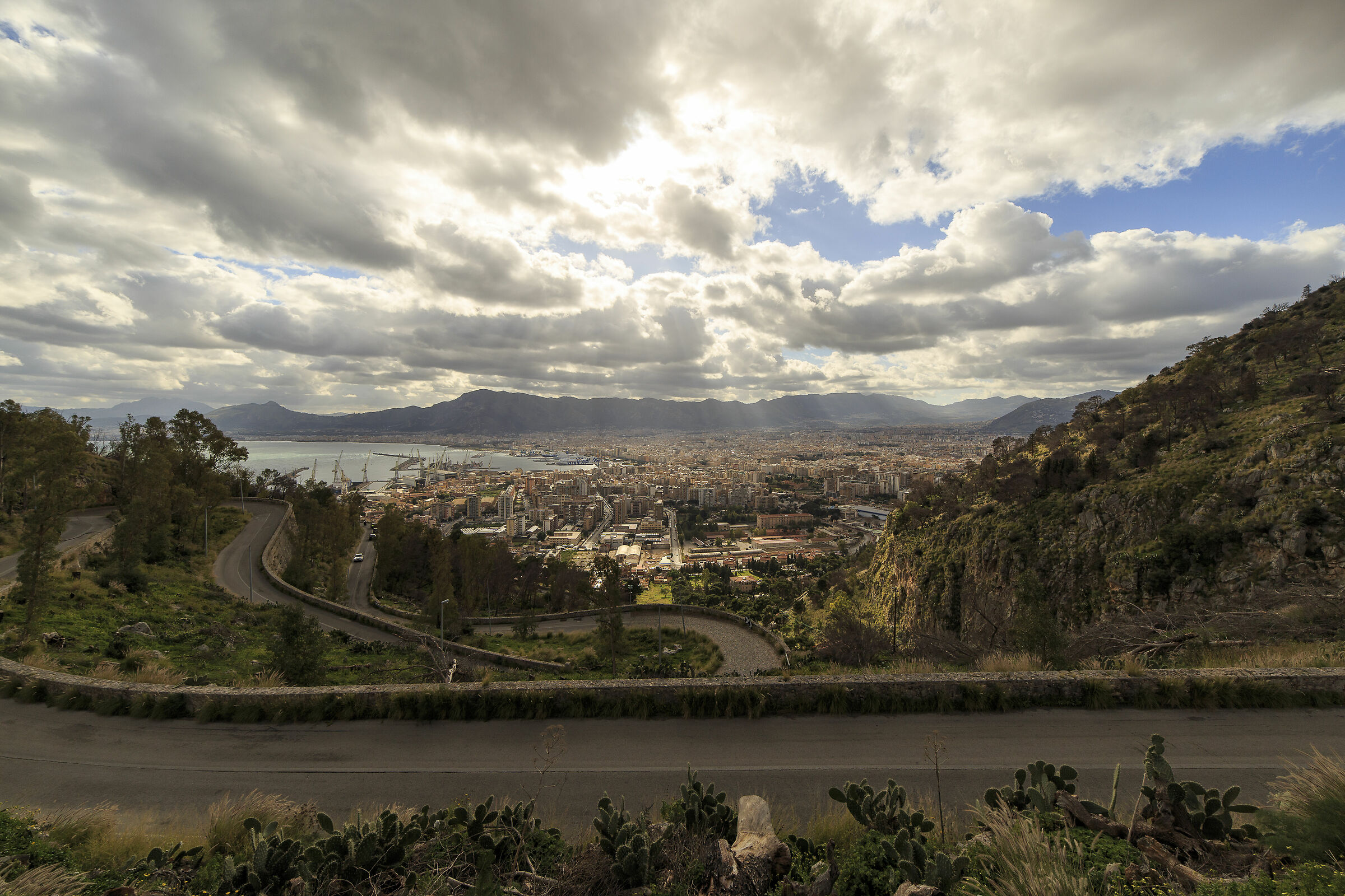 View of Palermo