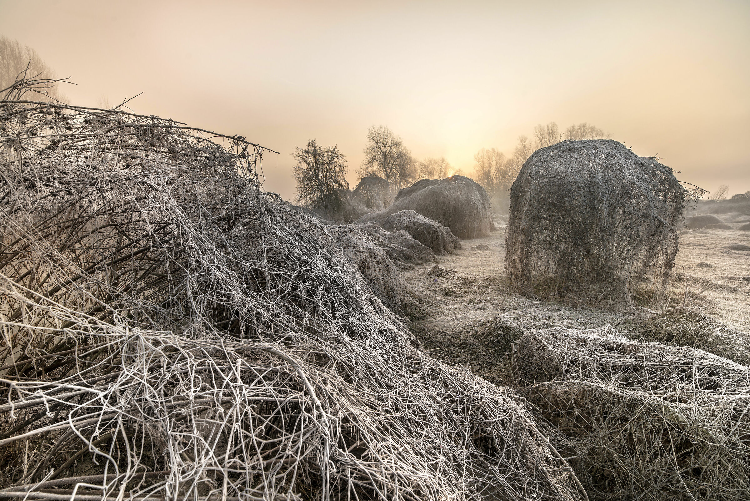 Aspettando primavera