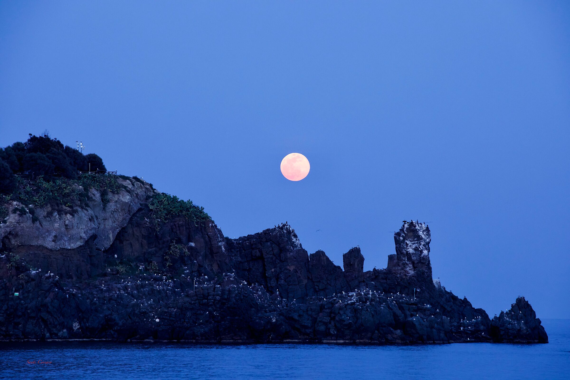 The Supermoon and the Seagulls