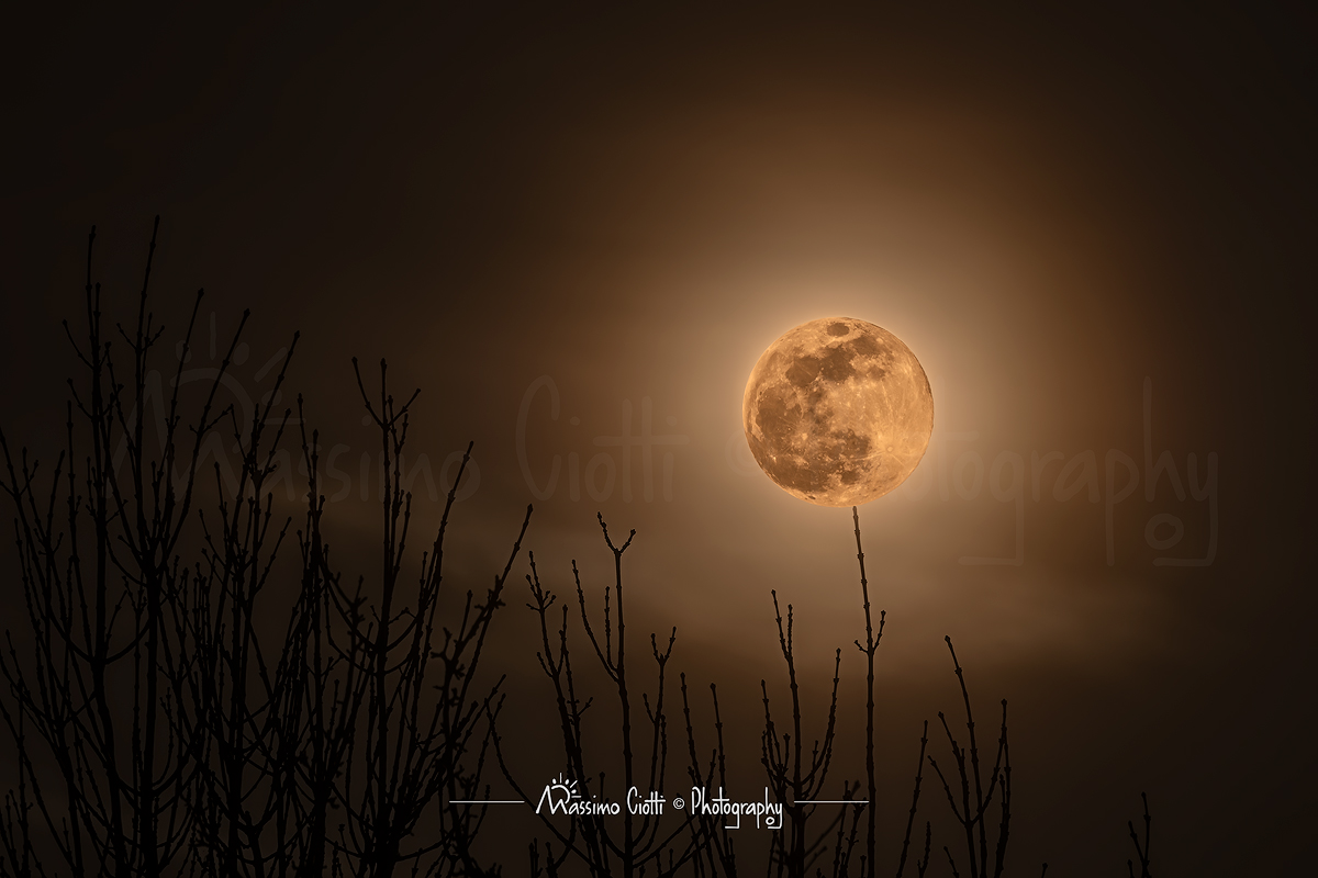 Super Moon of 19/02/2019