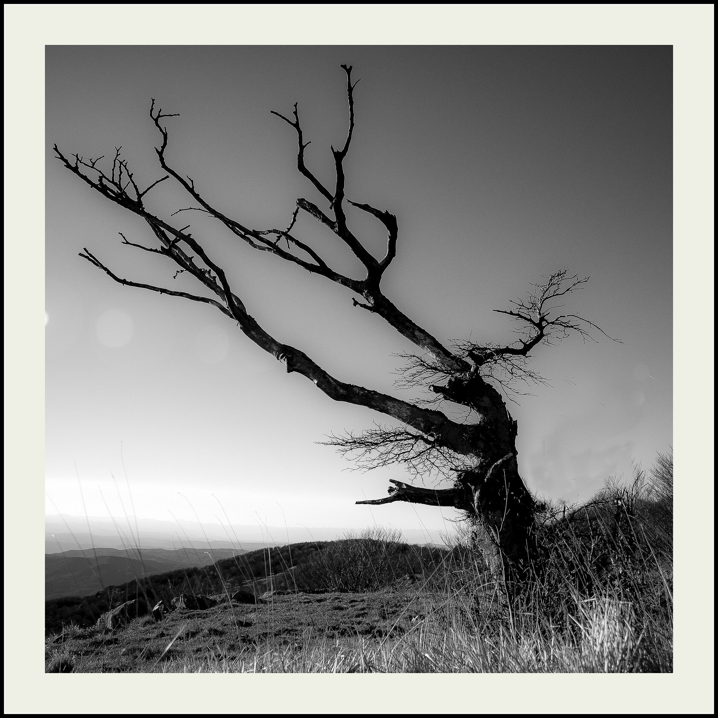 Untitled Photo