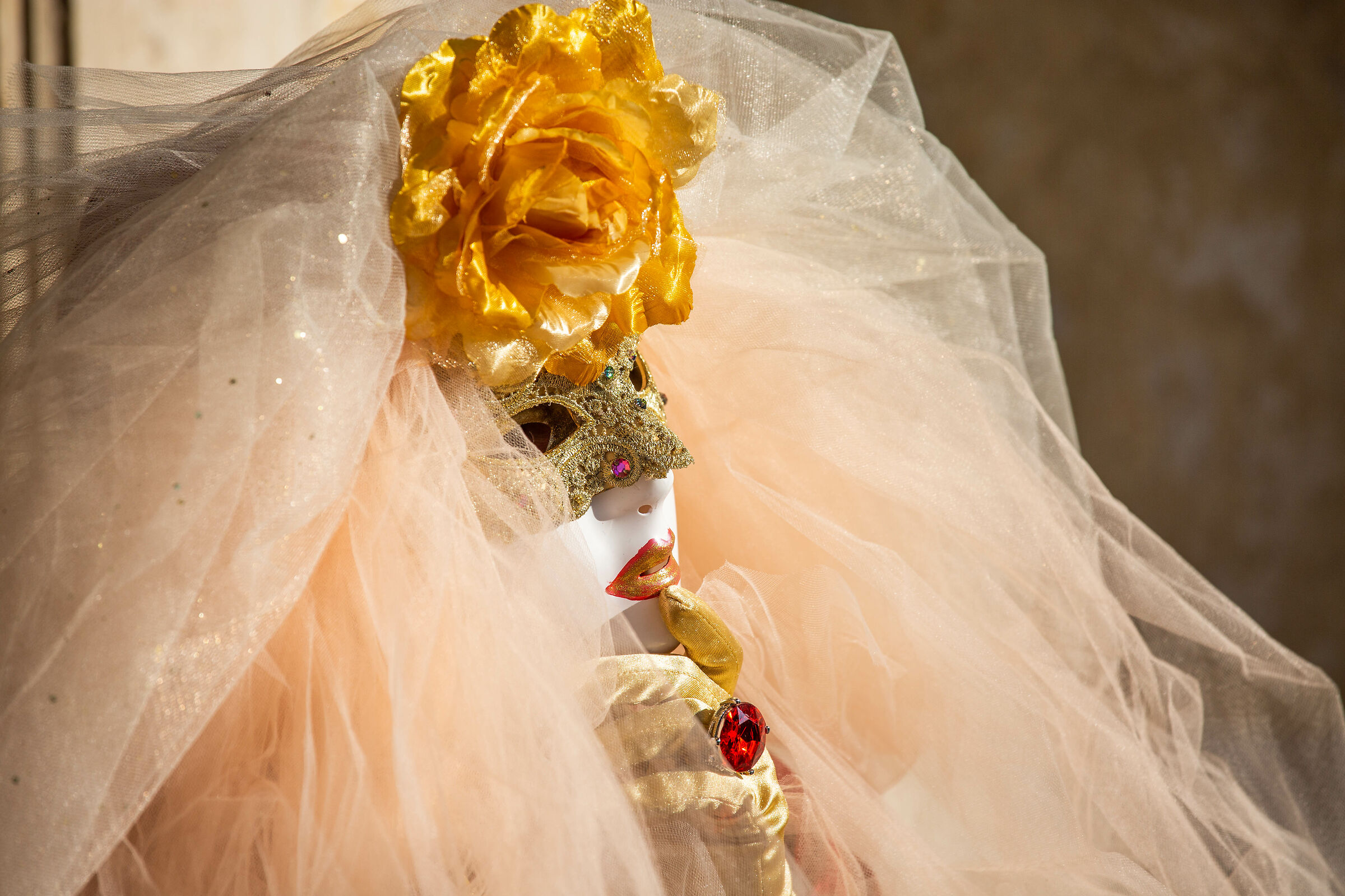 Venezia Maschere di Carnevale