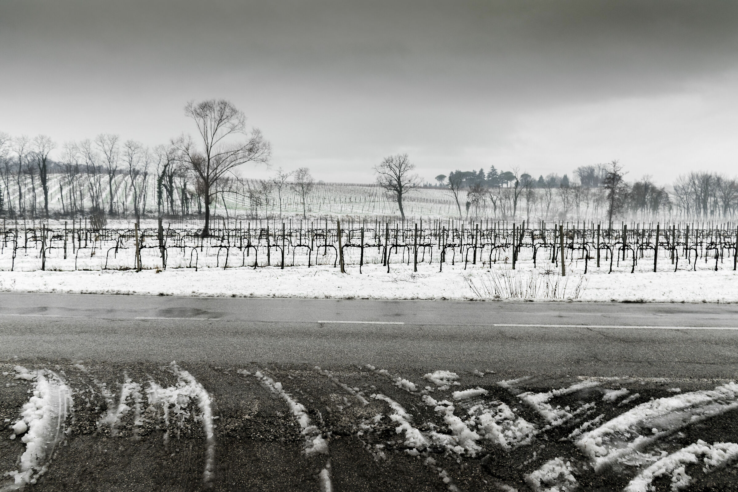 Il giorno dopo la spruzzata di neve 1