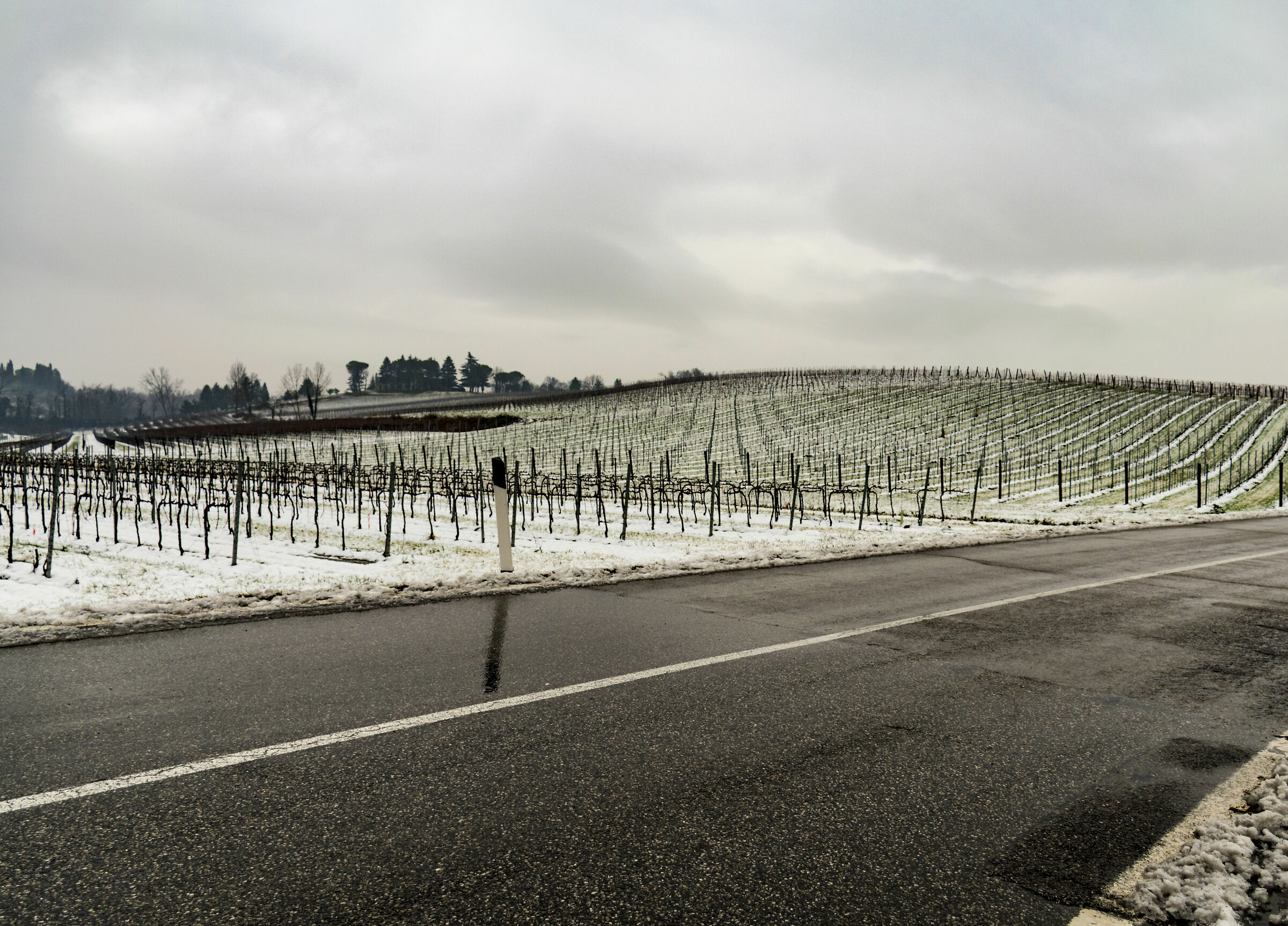 Il giorno dopo la spruzzata di neve 2