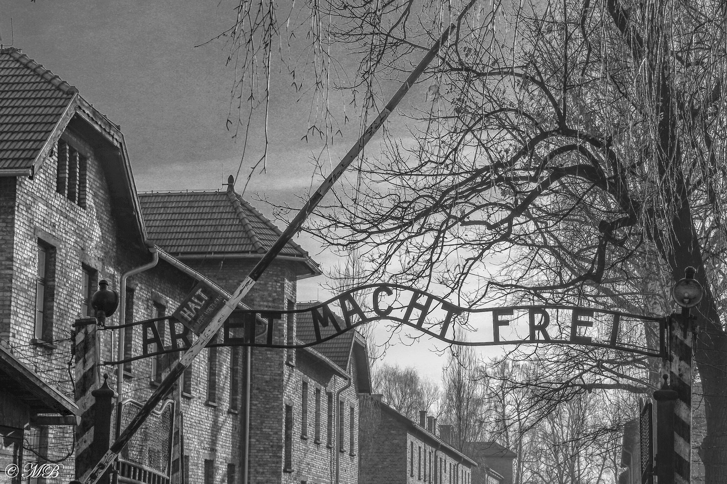 Auschwitz