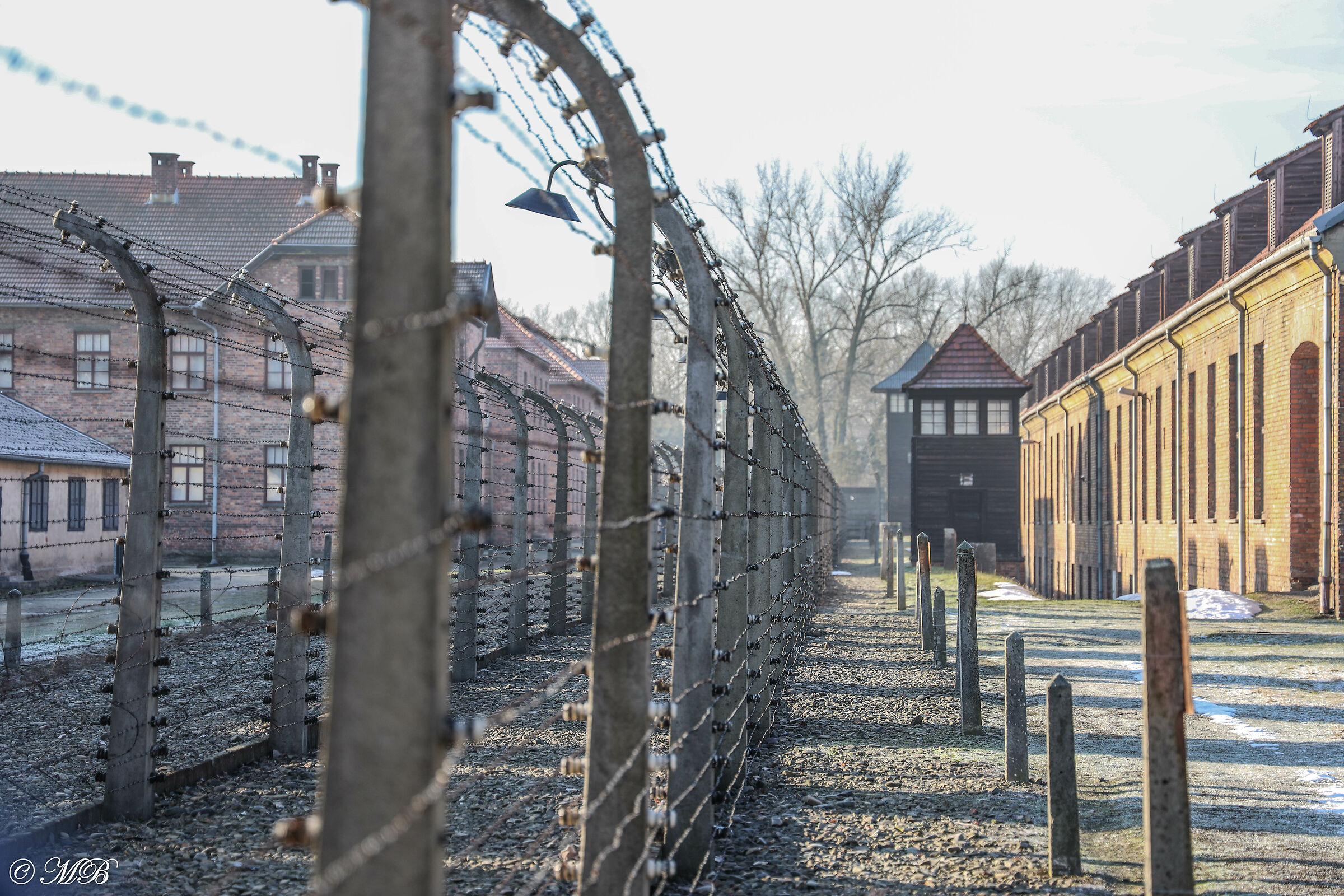 Auschwitz