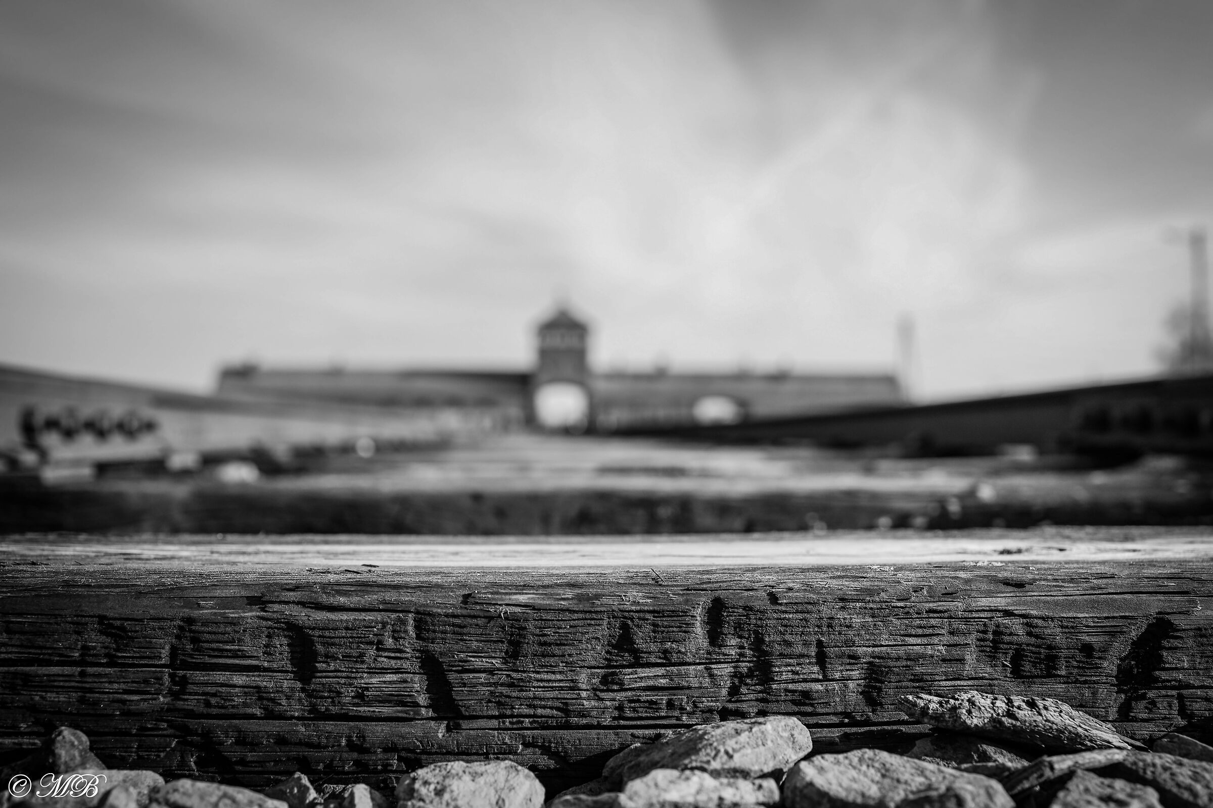 Birkenau