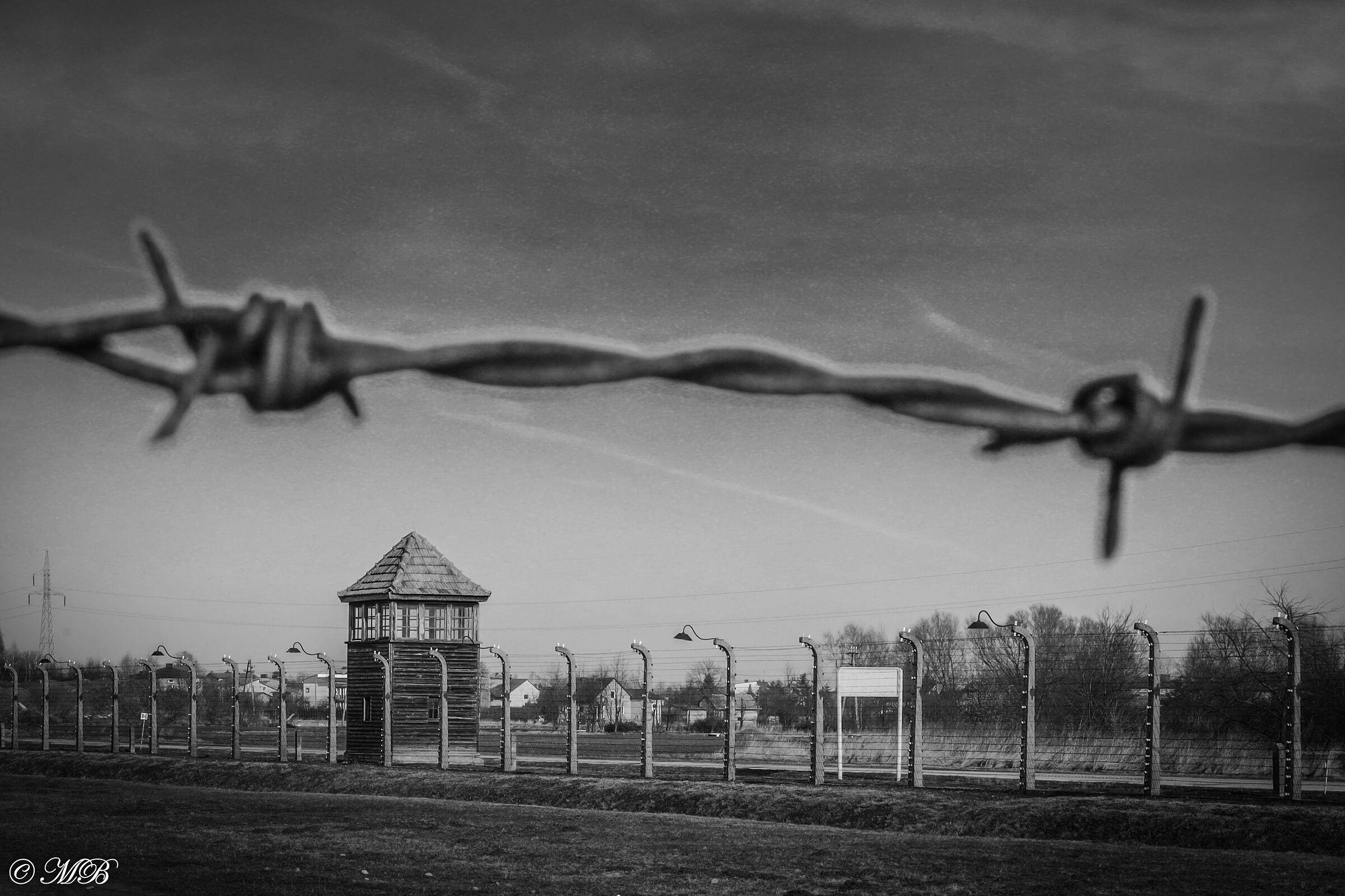Birkenau
