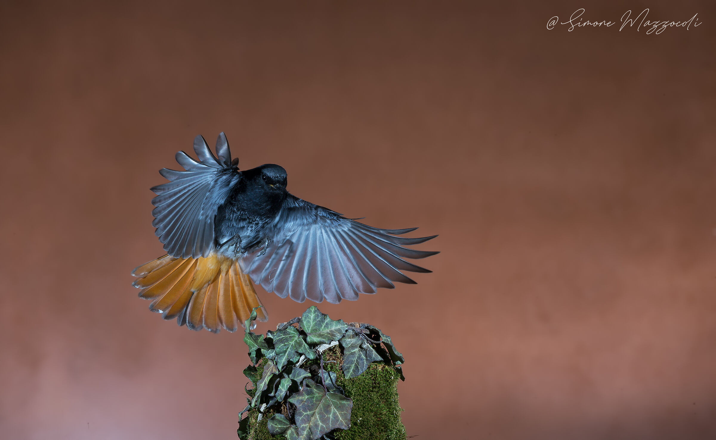 Banzai...-Chimney Sweep