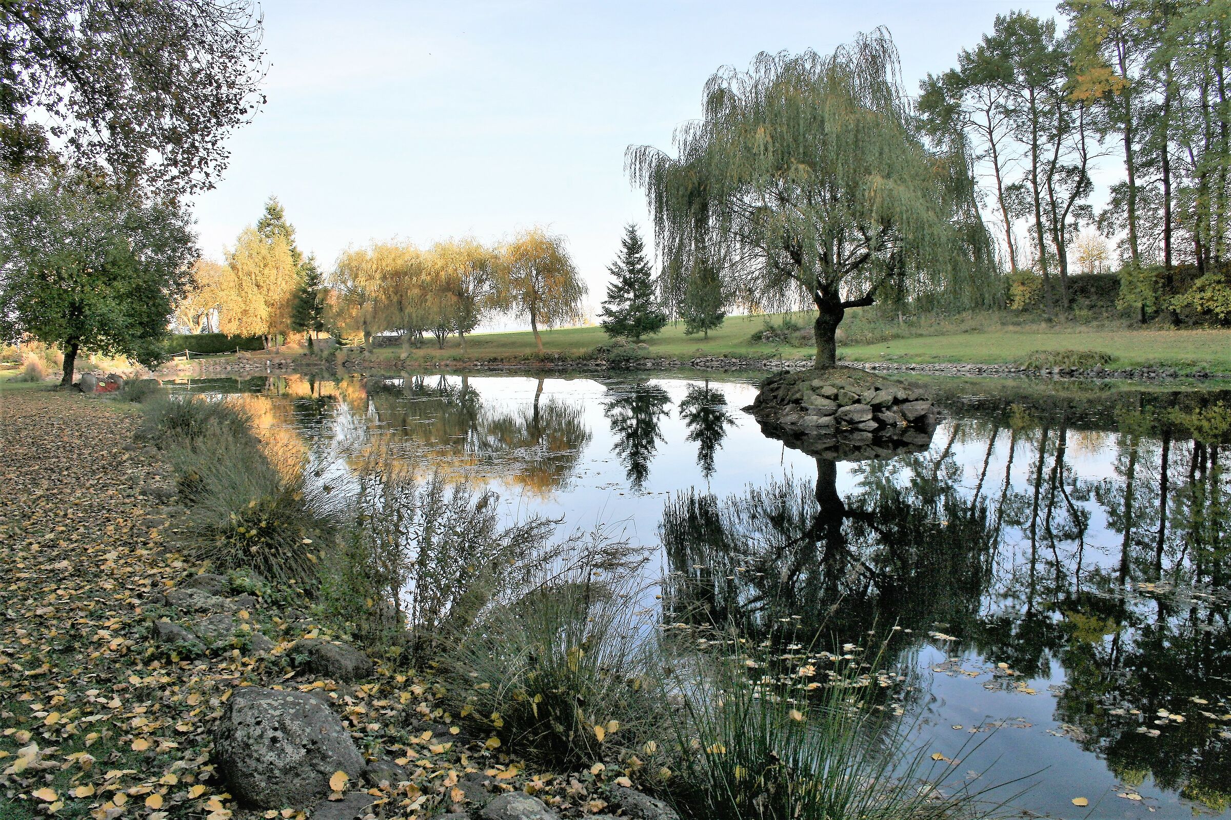 Reflections in a pond