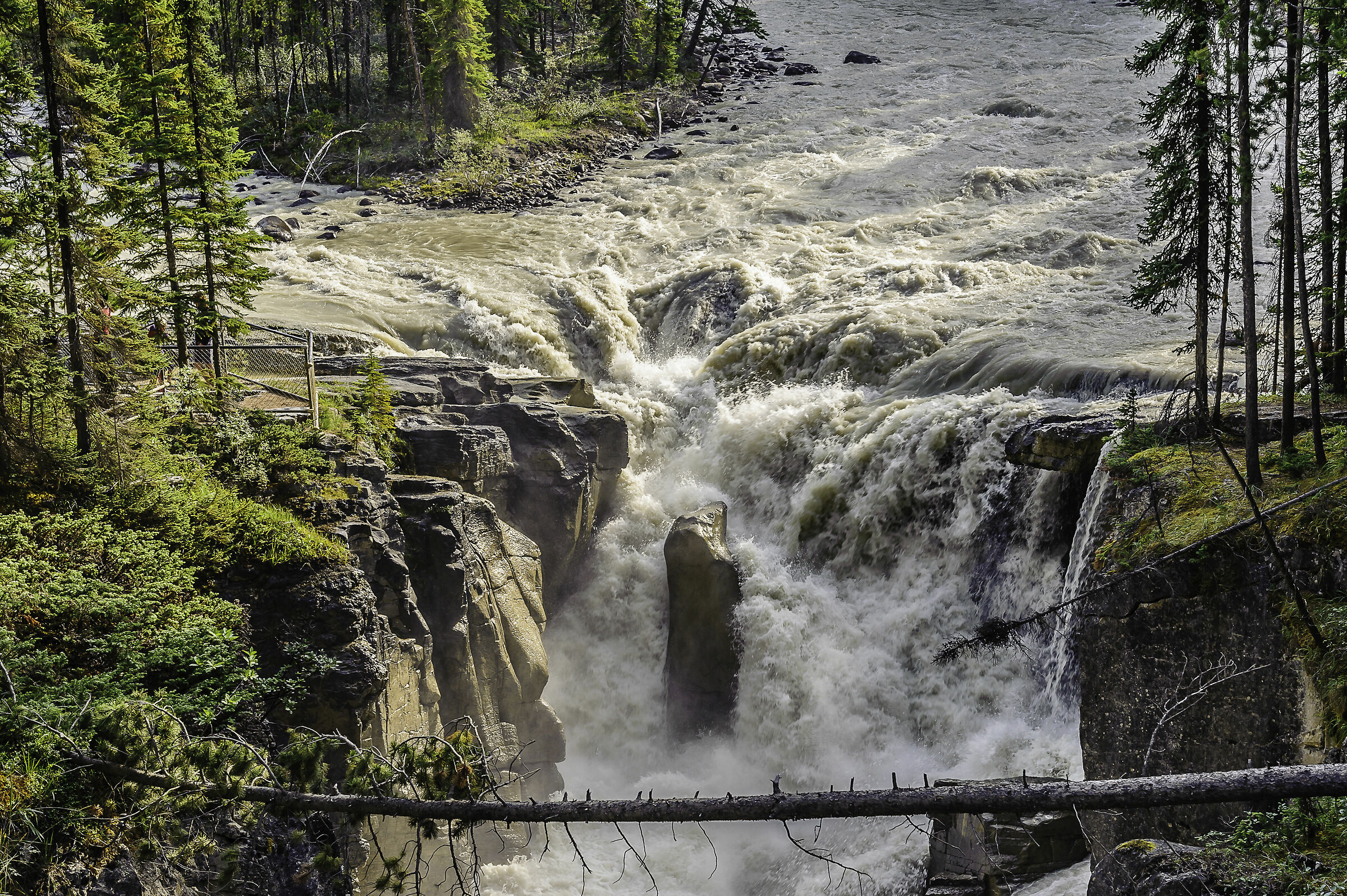 Jasper National Park