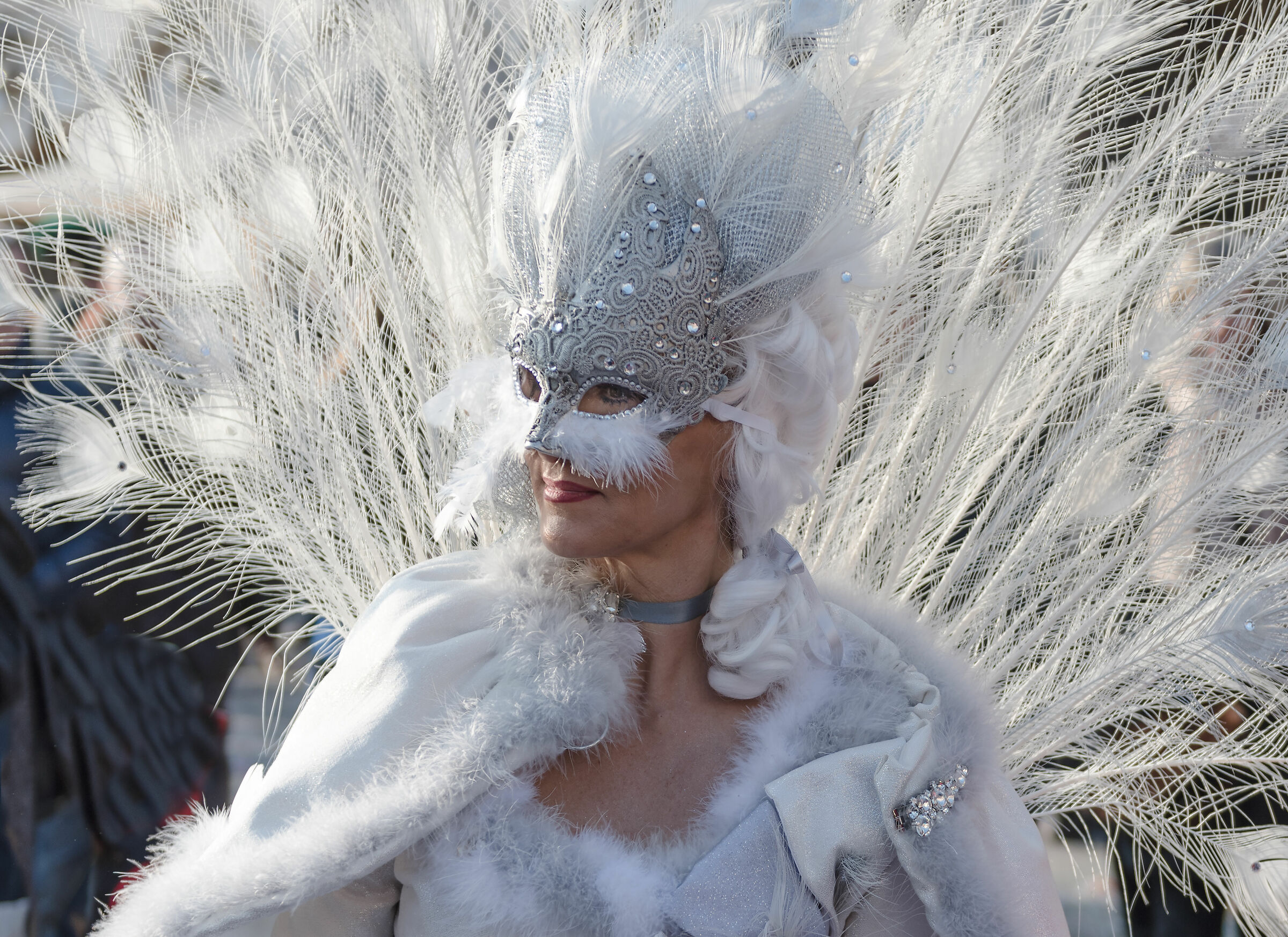 Venezia carnevale 2018