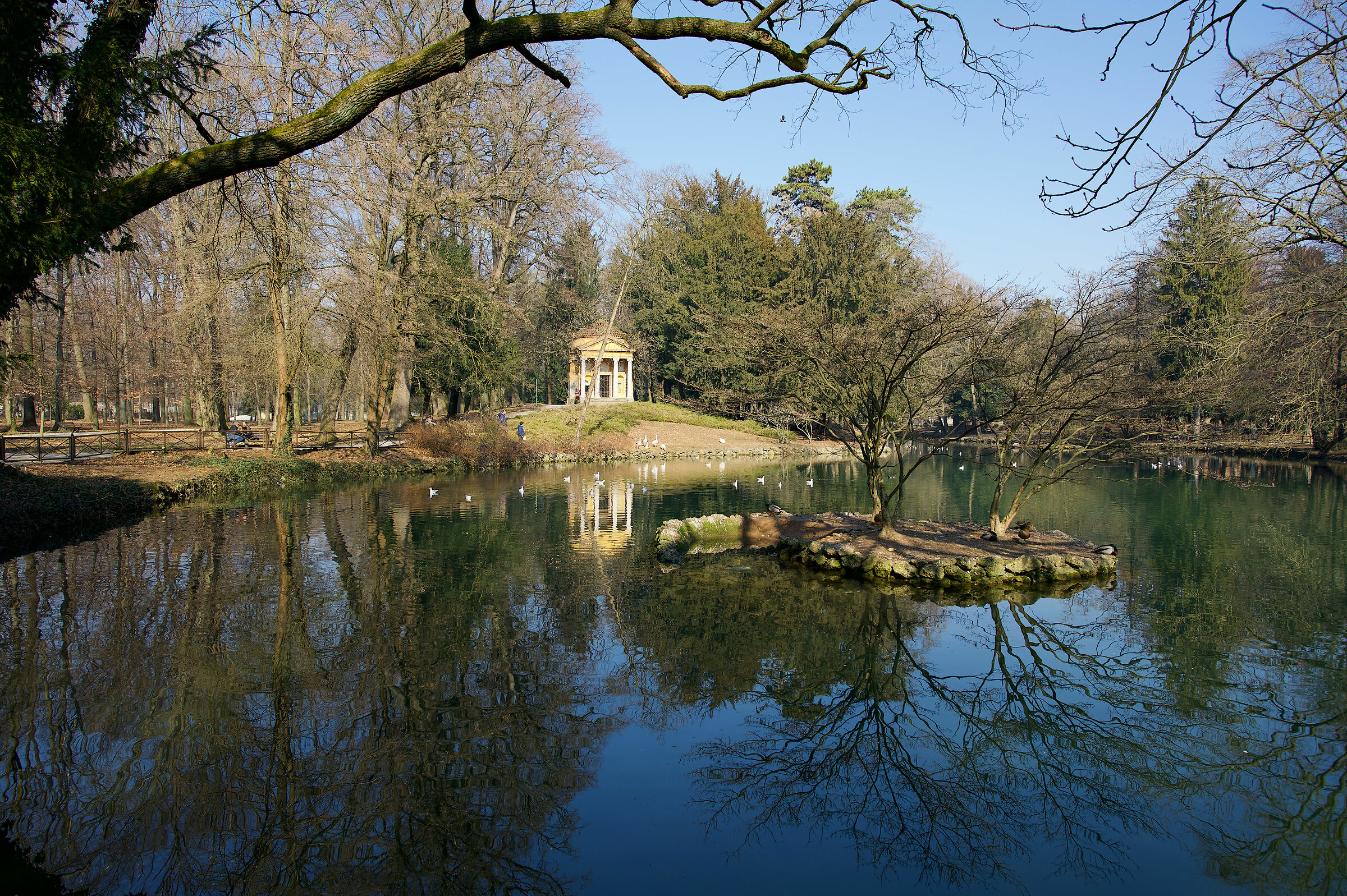 Pond of the Royal gardens. Monza