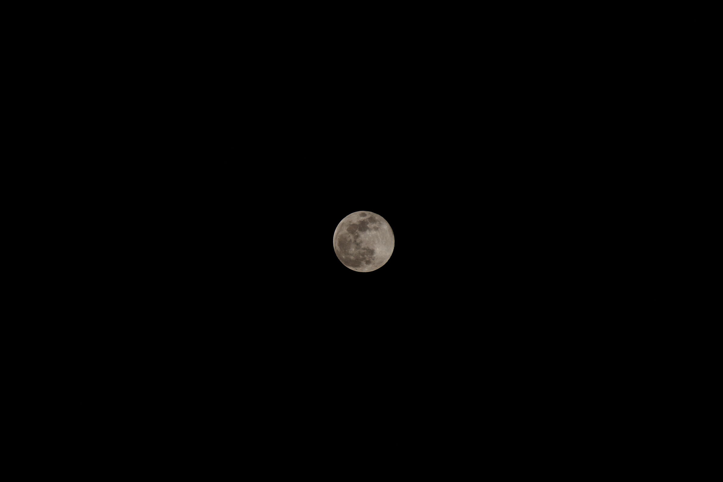 Zeiss Sonnar 200mm f2.8 (@f5.6)
