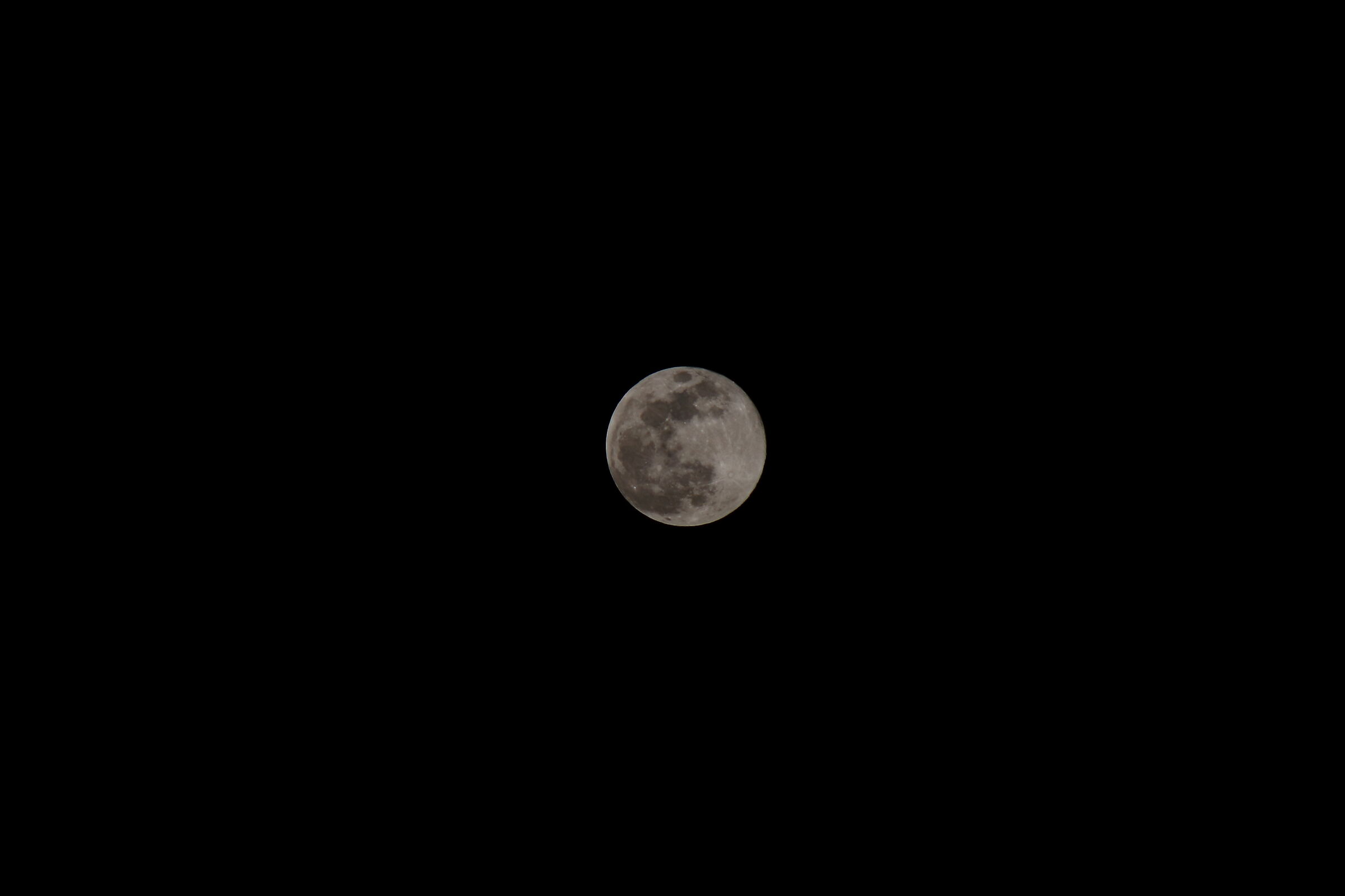 Zeiss Sonnar 200mm f2.8 (@ 5.6) + 1.4 x (F8)