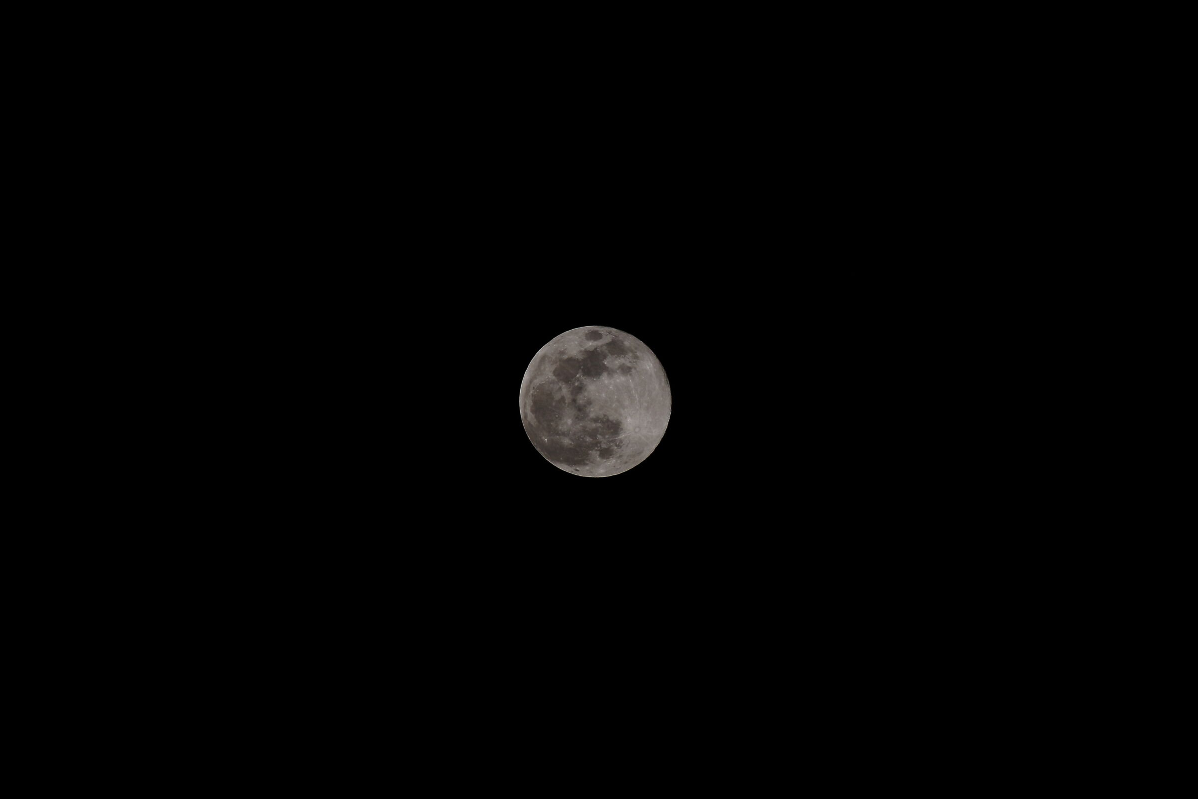 Tamron 100-300mm Vc of USD f4-5.6 (@ 300mm F10)