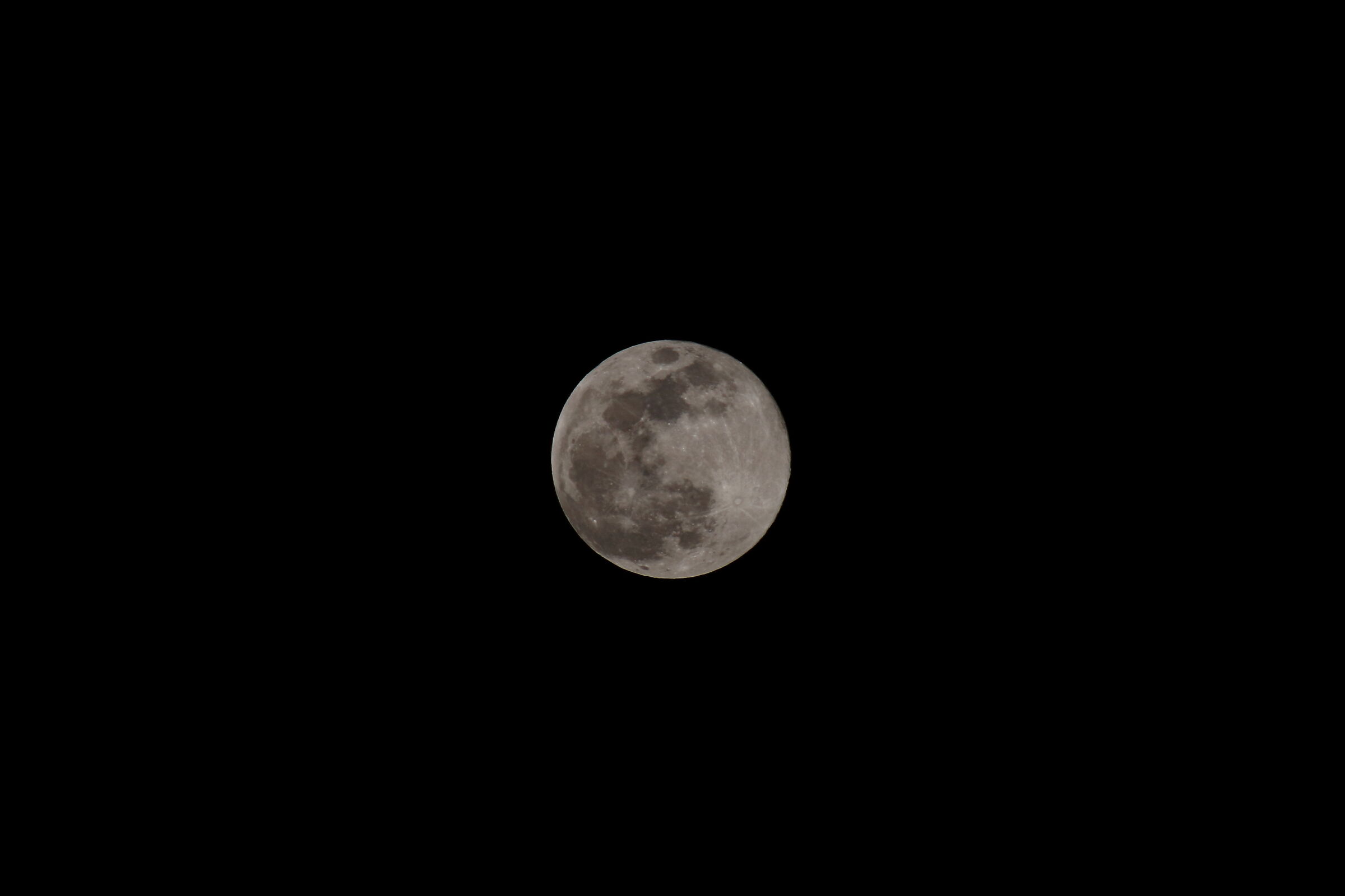 Tamron 100-300mm Vc of USD f4-5.6 (300mm F10) + 1.4 X