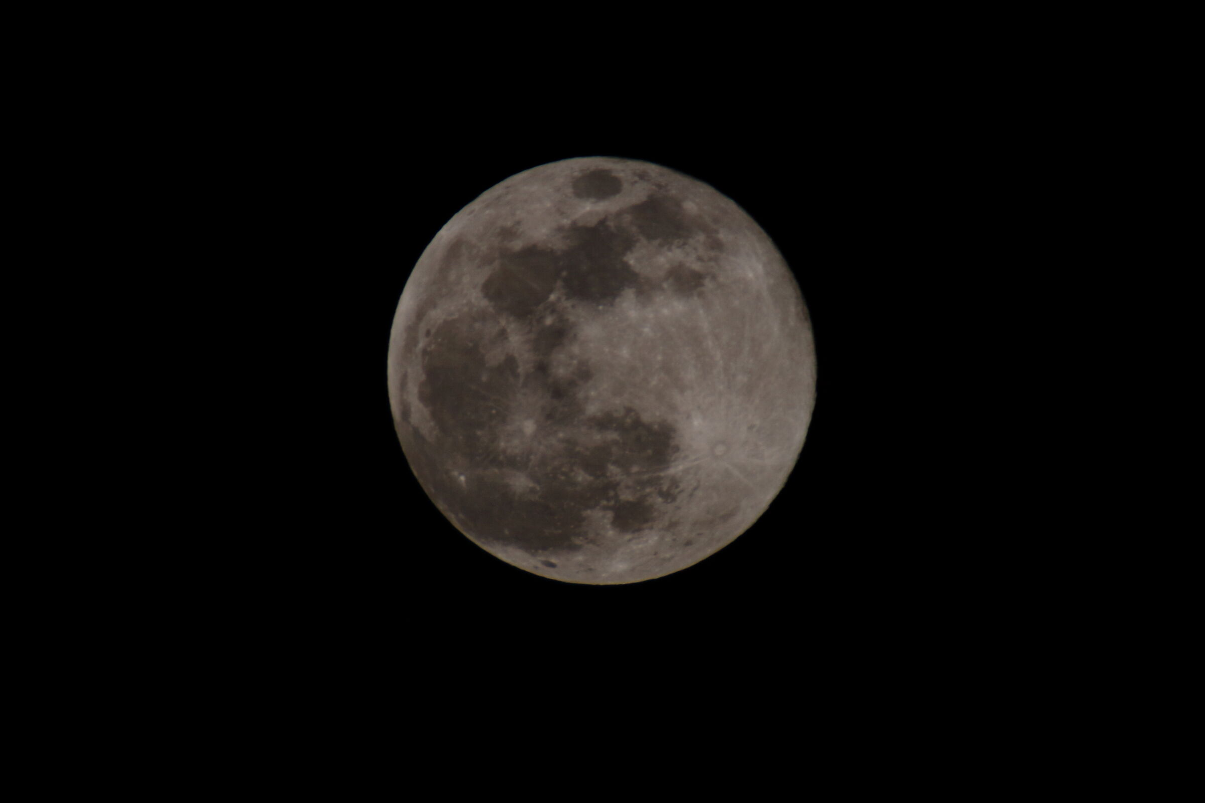 Tamron 100-300mm f4-5.6 (@ 300mm F10) + 2x + 1.4 X