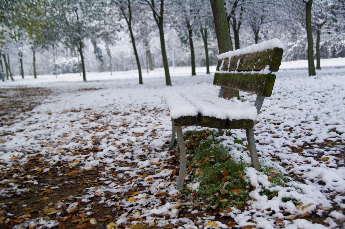 e' arrivata la neve!!