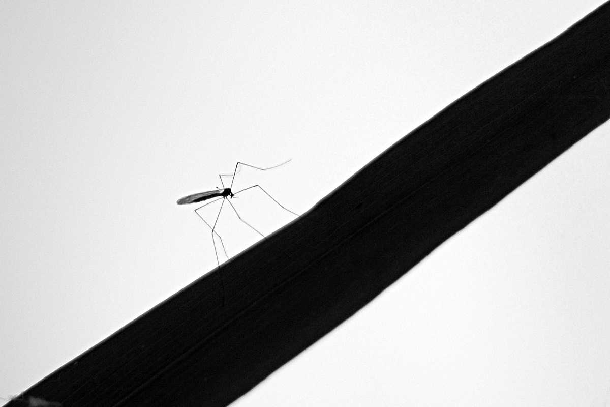 The Climb, Climbing the