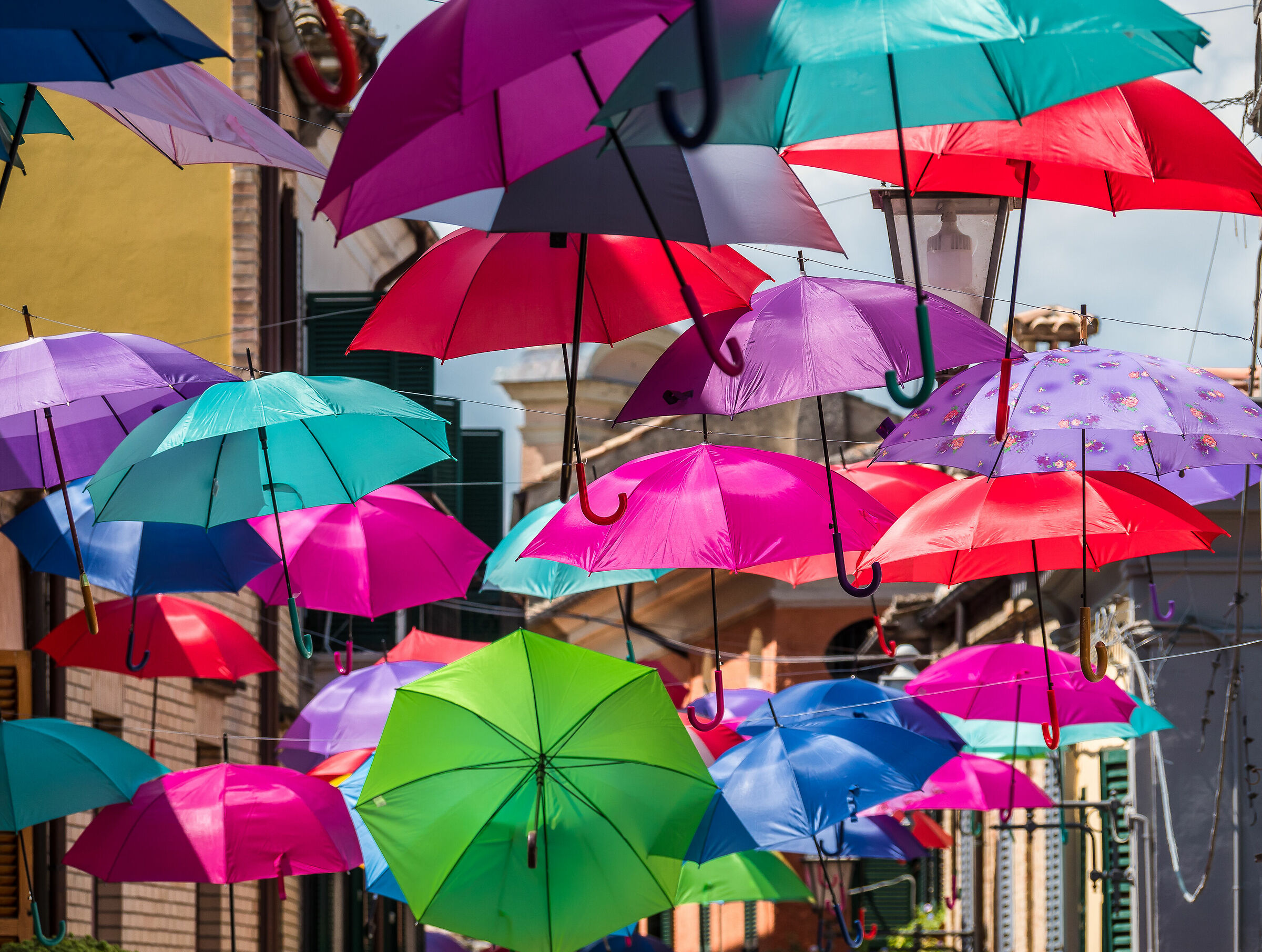 Like butterflies on a summer day........