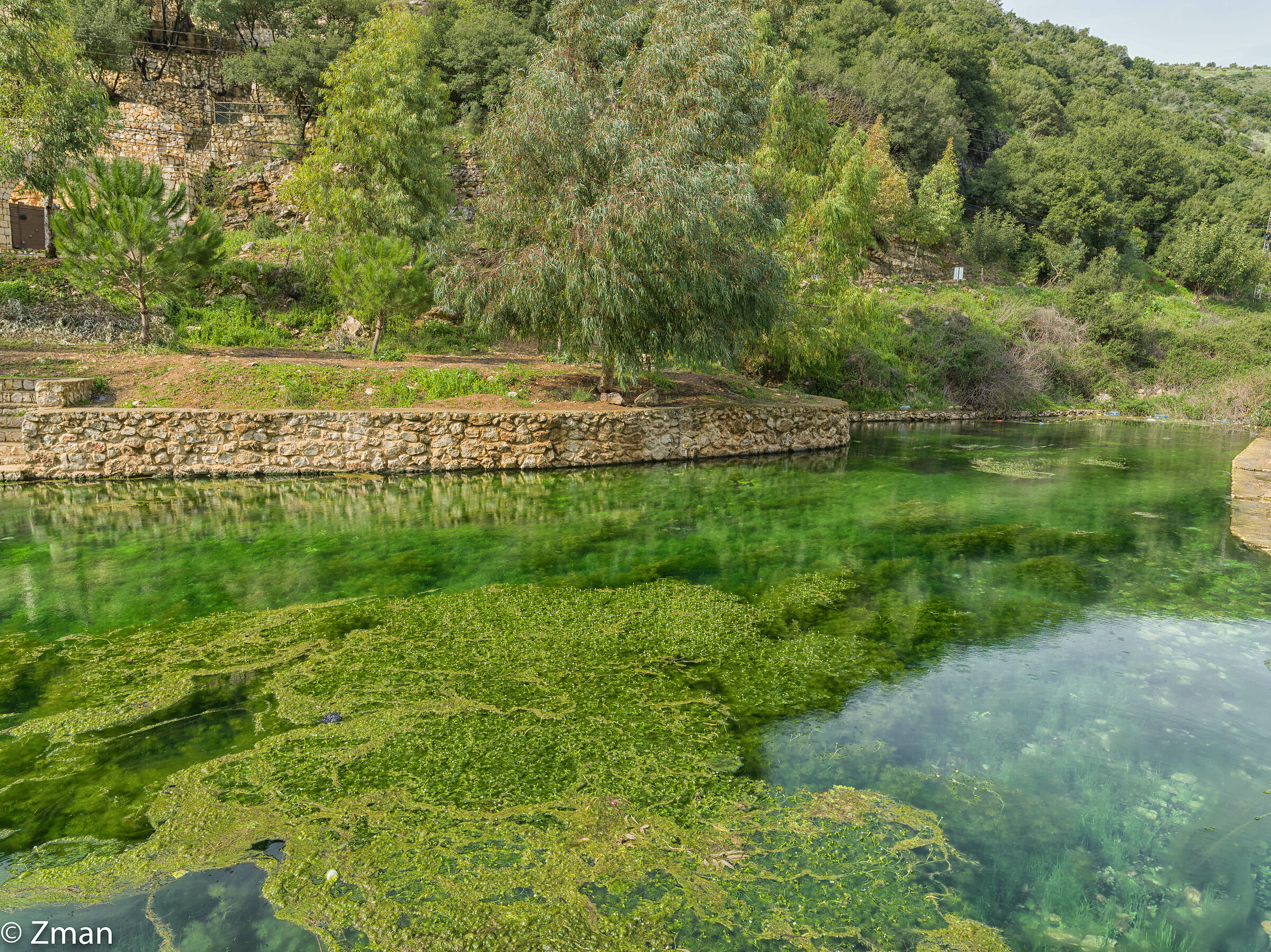 Al Houjair Reservation