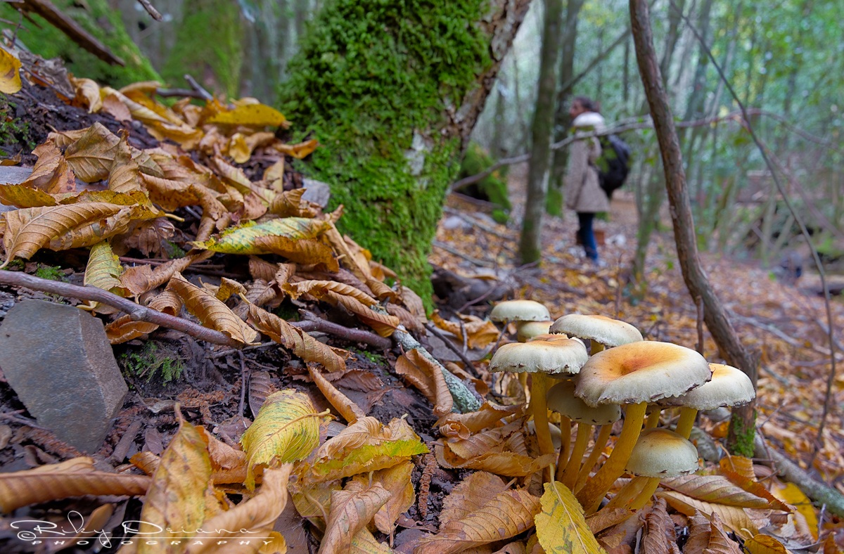 ehi..psss... siamo qui!!