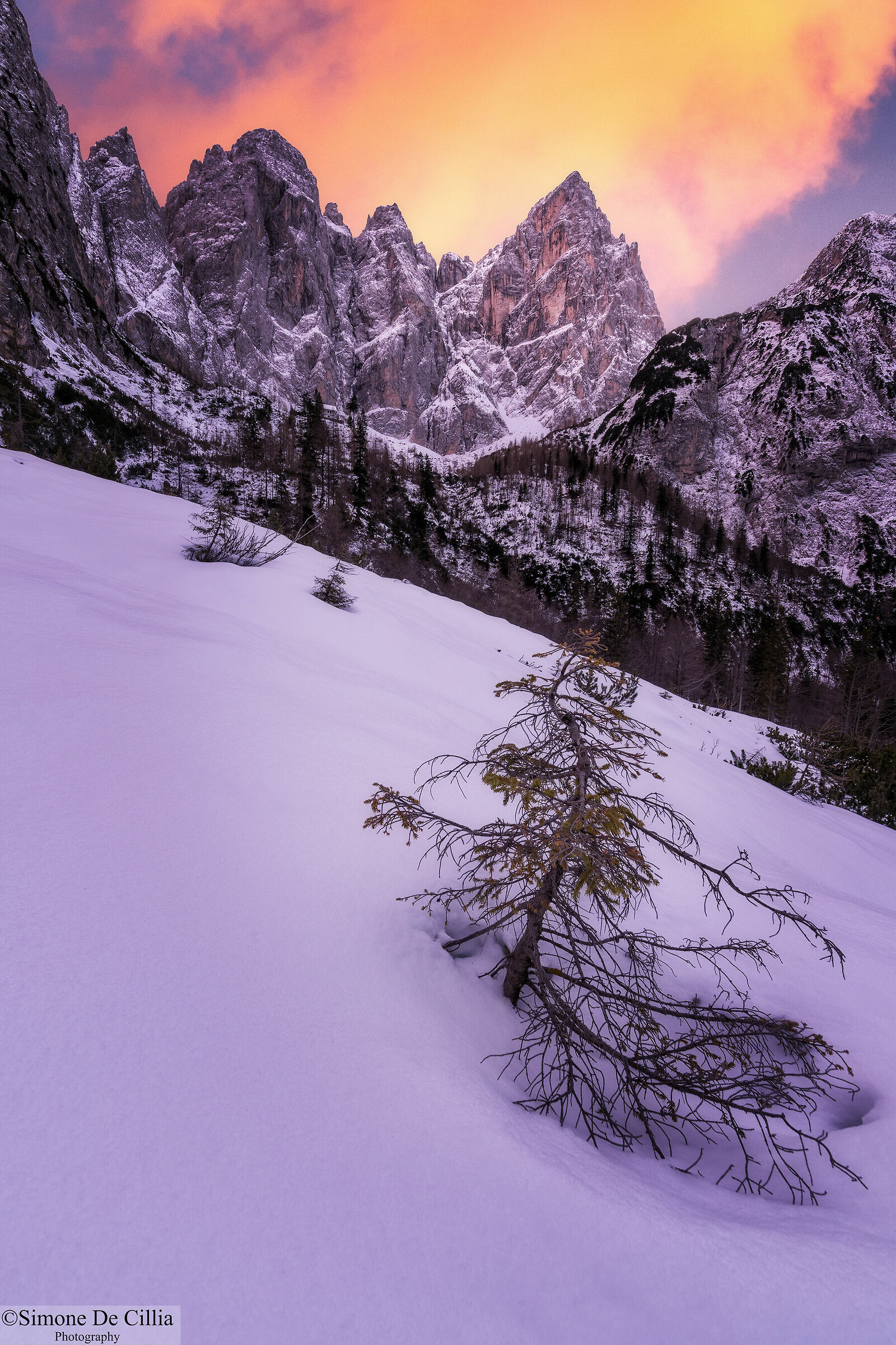 Julian Alps