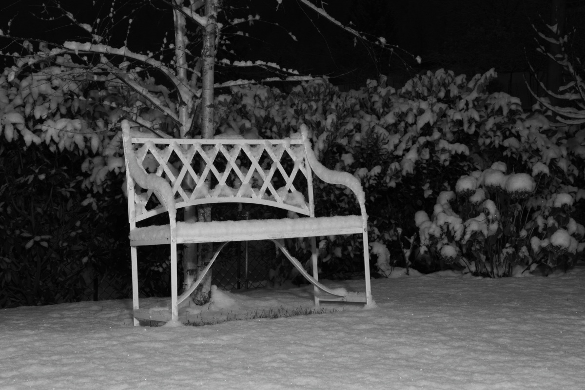 Panchina sul giardino